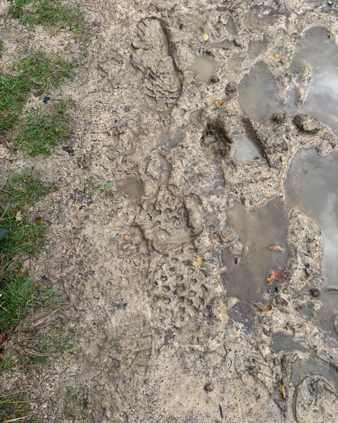 Why the strange mud-pic? 
Well, whilst out dog walking, I spotted some of our footprints from the morning run! It just made me smile 😊 so I wanted to share 🥰 
The return of the mud does mean rinsing socks before washing, but it&rsquo;s worth it!! 
