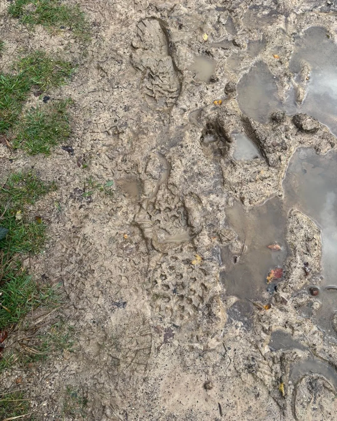 Why the strange mud-pic? 
Well, whilst out dog walking, I spotted some of our footprints from the morning run! It just made me smile 😊 so I wanted to share 🥰 
The return of the mud does mean rinsing socks before washing, but it&rsquo;s worth it!! 
