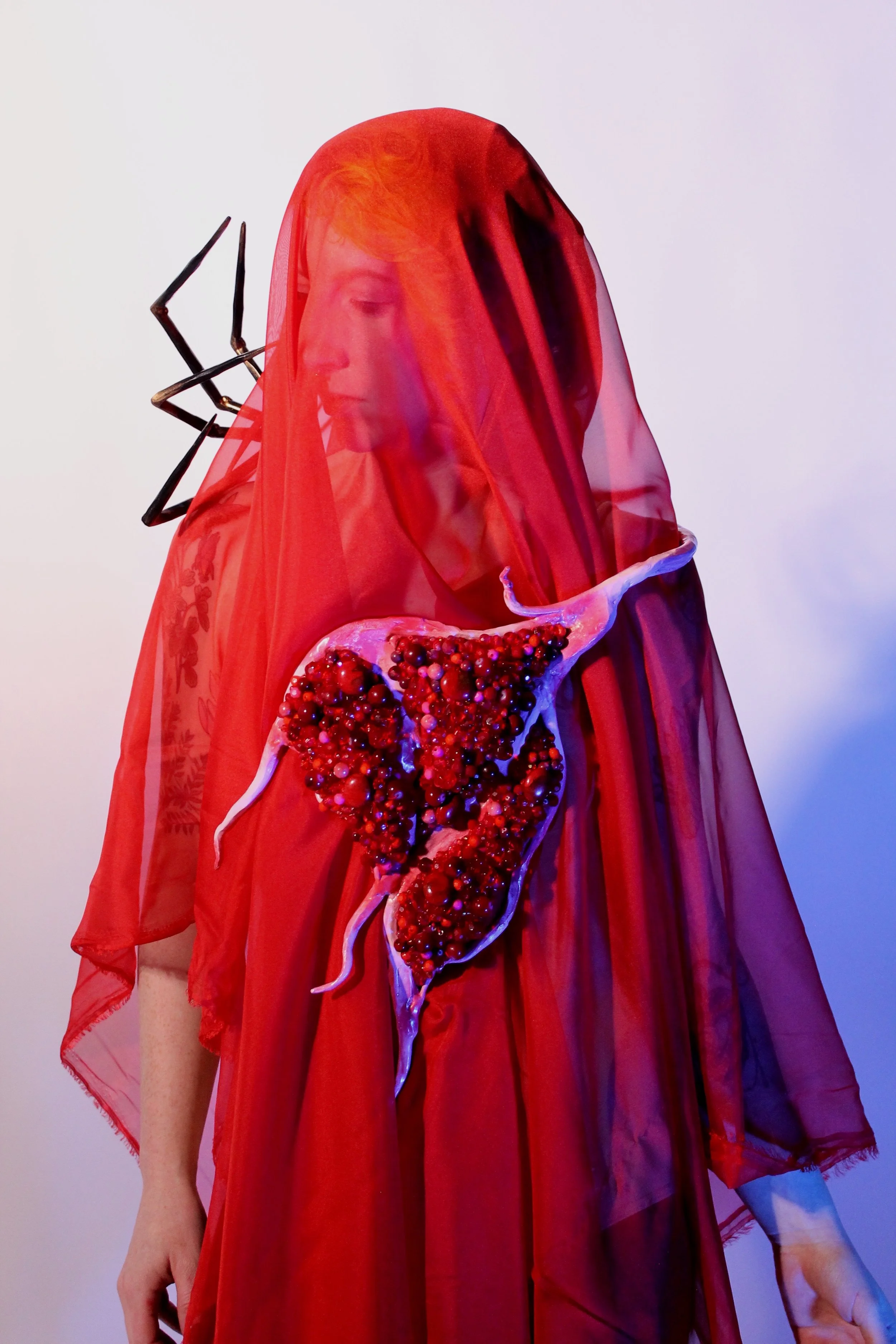 2024-Kailey-Robinson-Symbiote .JPG