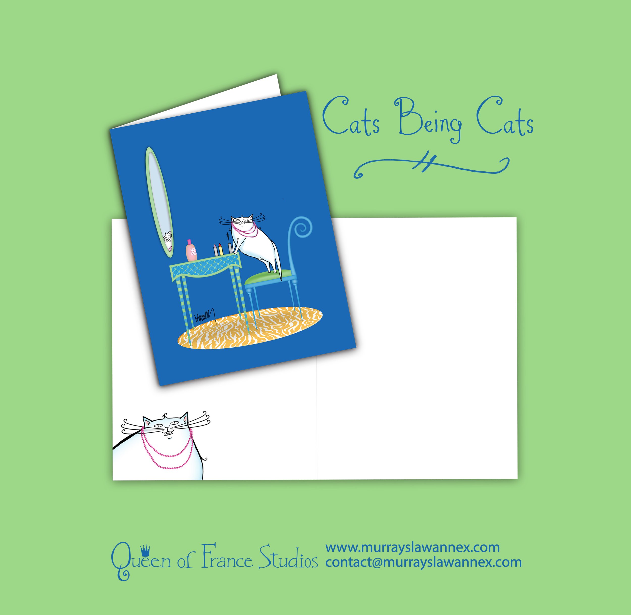 SQ-2-FP-COVER-AND-INSIDE-MIRROR-CAT.jpg