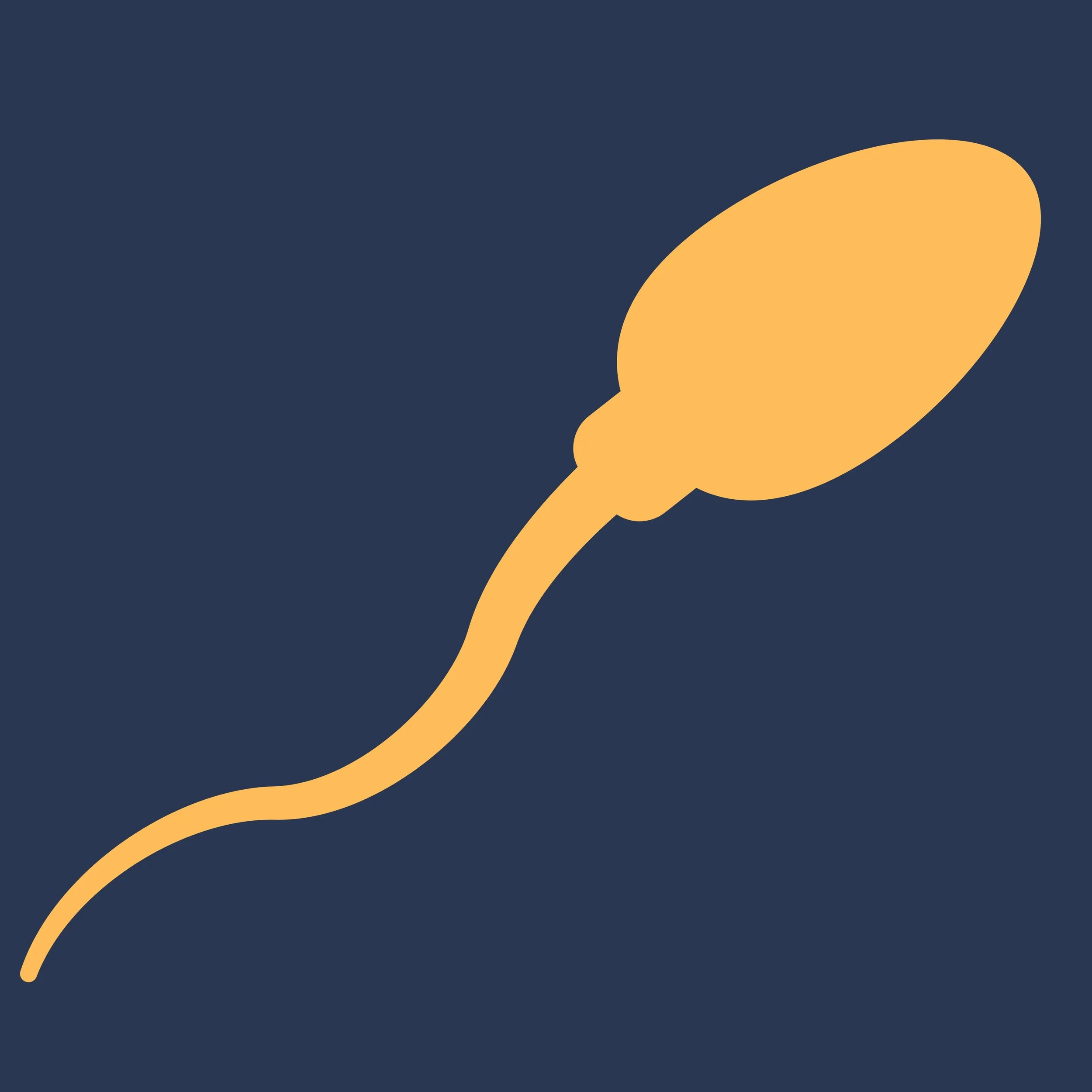 Why We Do an Open-Ended Vasectomy