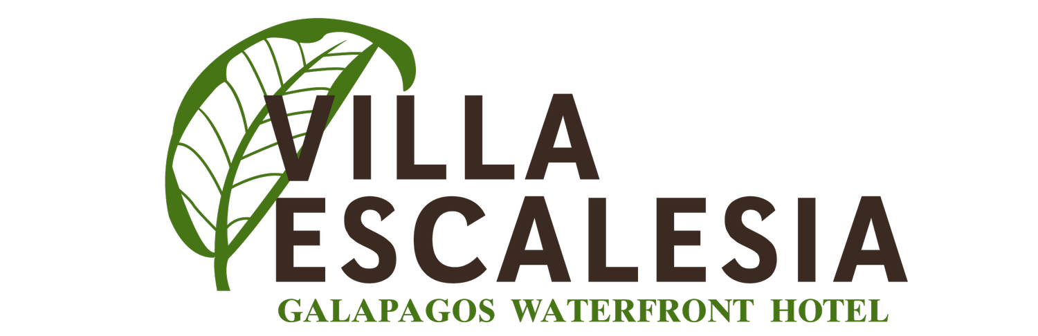 Villa Escalesia Galápagos Waterfront Hotel