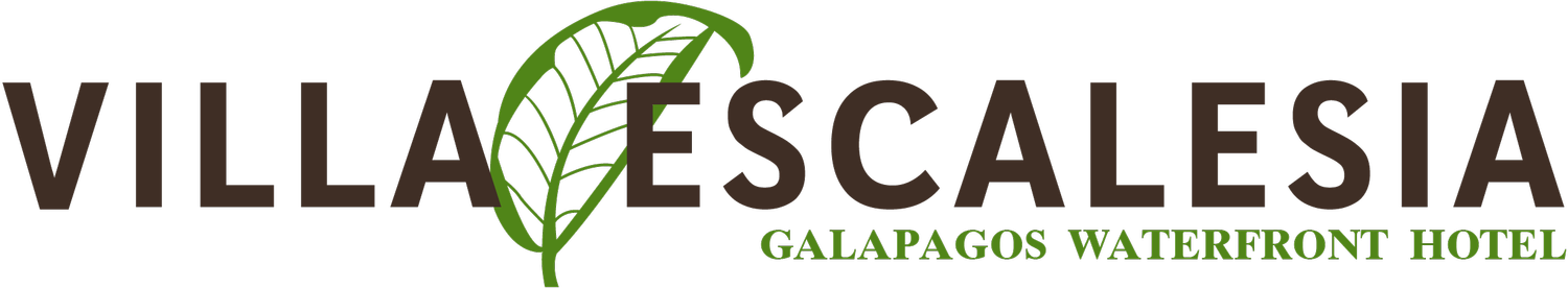 Villa Escalesia Galápagos Waterfront Hotel