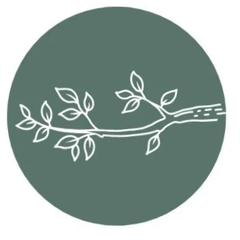 Untitled design-10.jpg