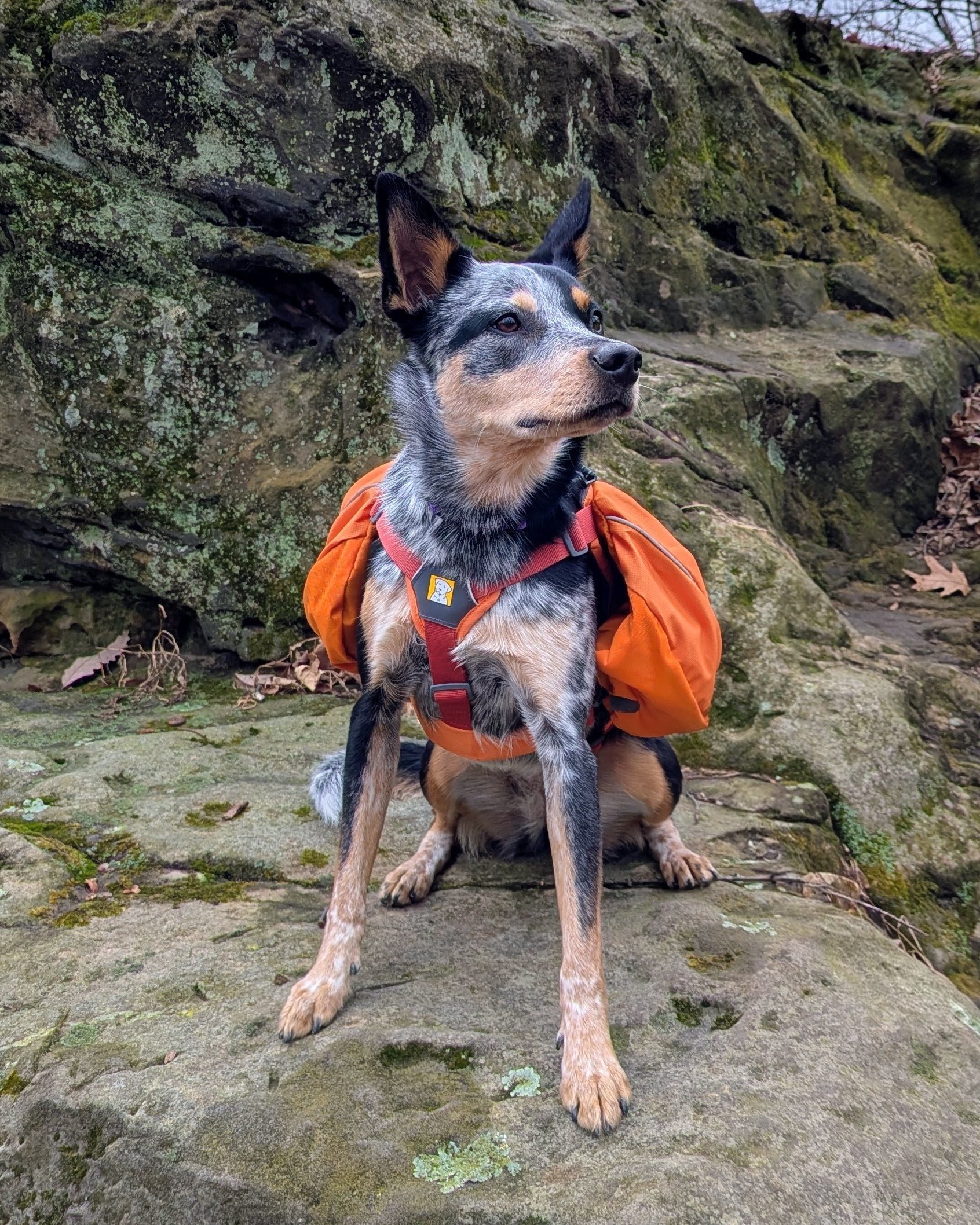 Our Newest Adventure Partner (and Full-Time Activities Coordinator)