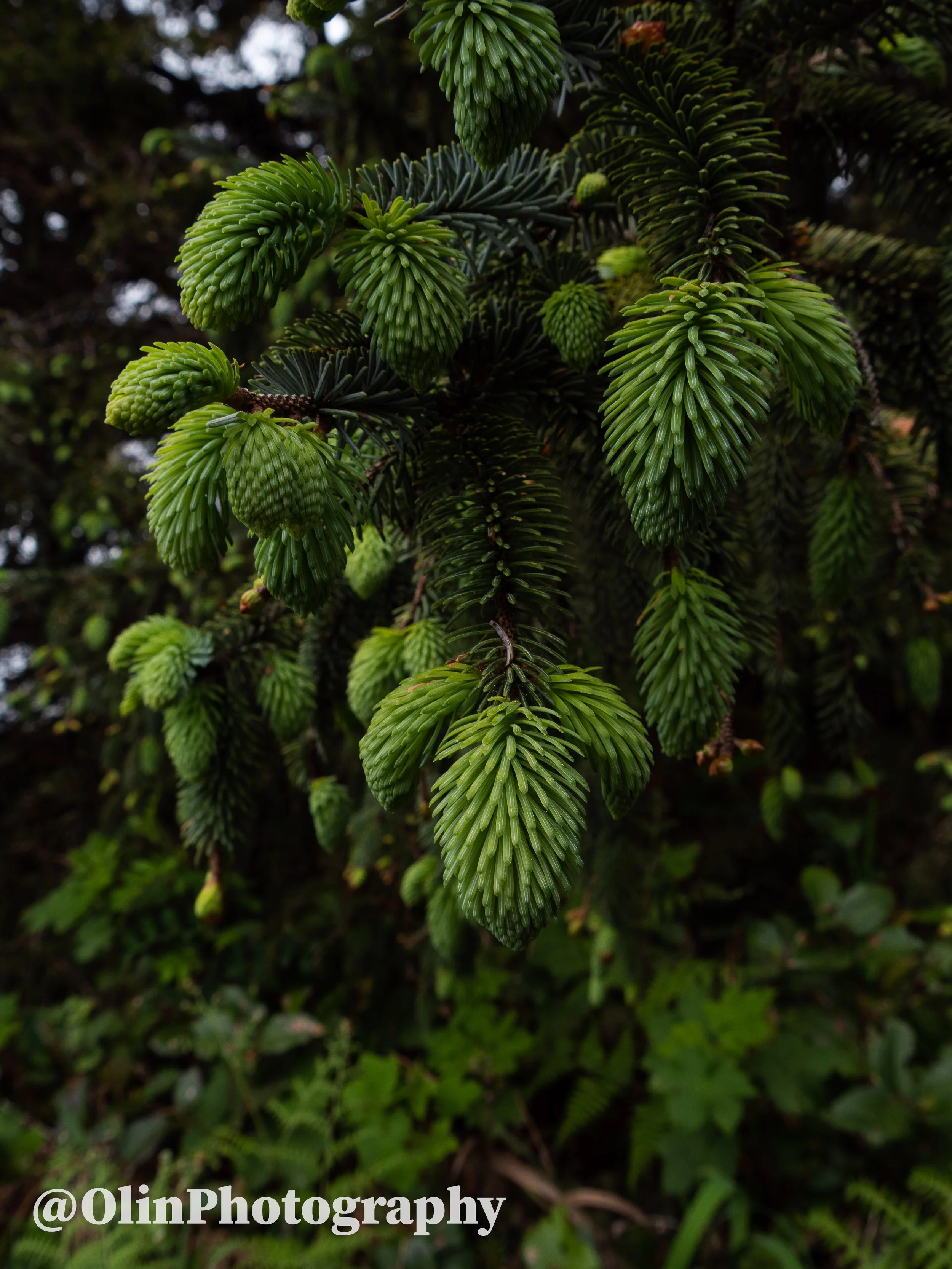 P1084748.jpg