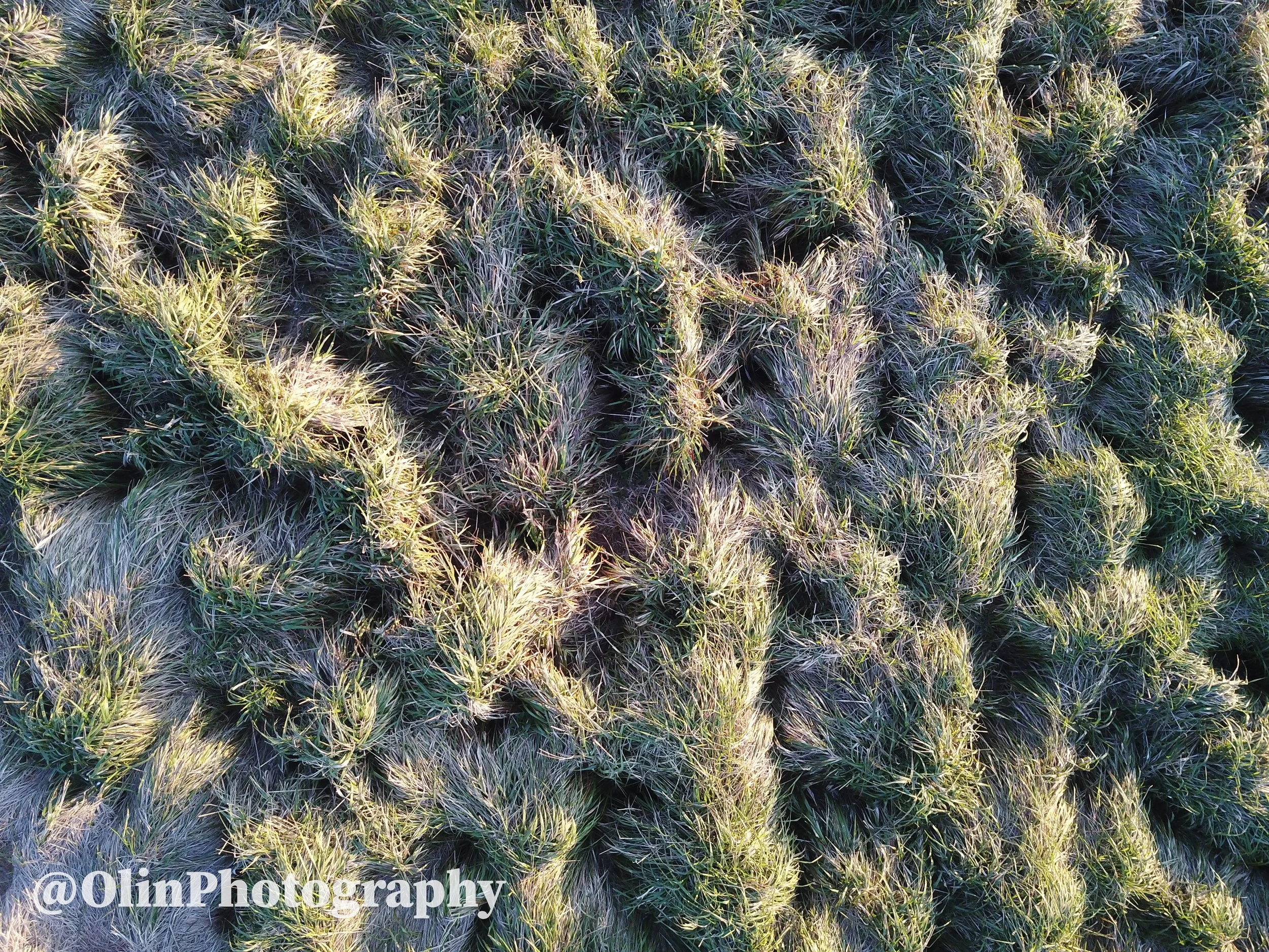 DJI_0070 (6).jpg