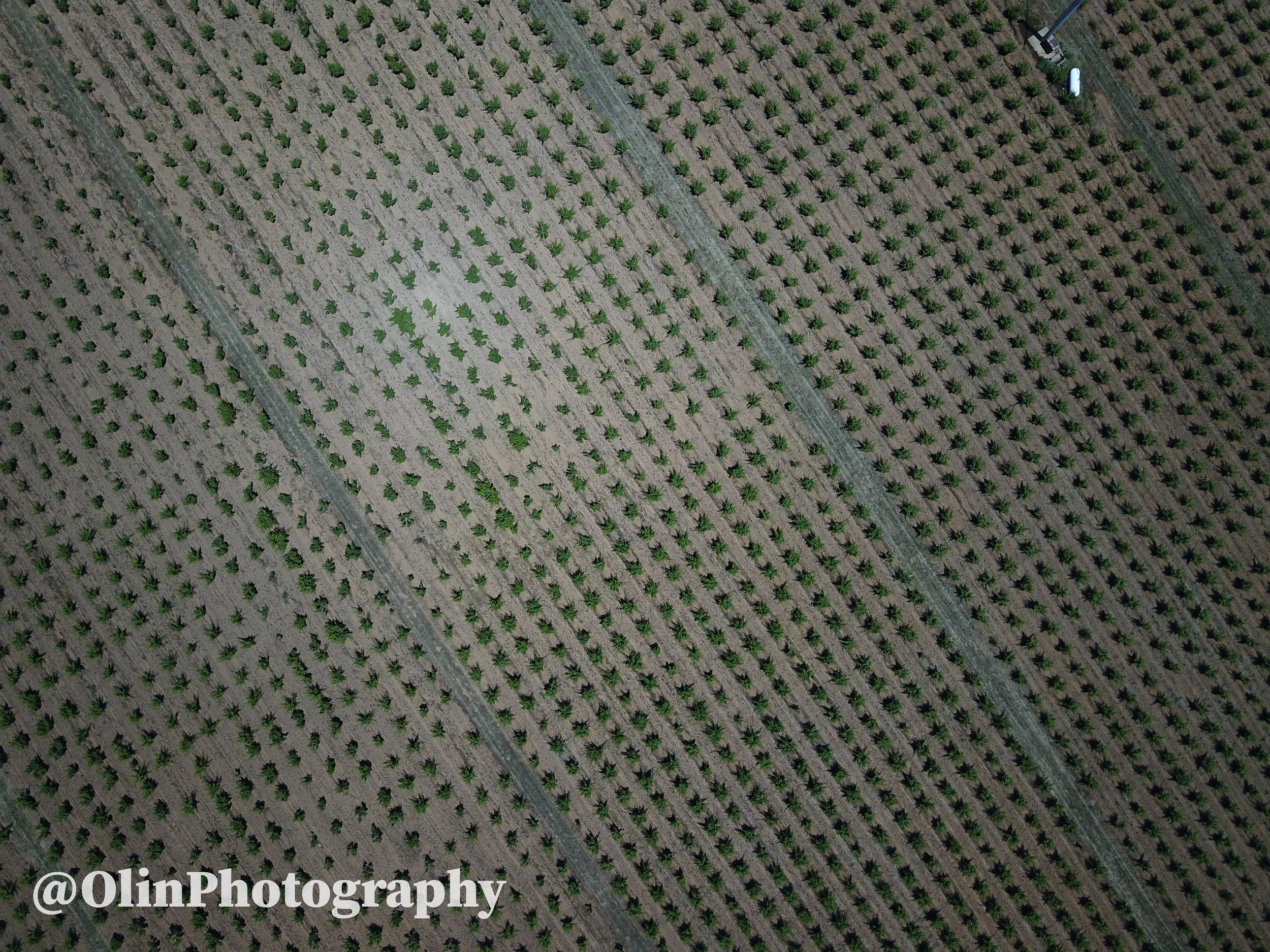 DJI_0011 (7).jpg