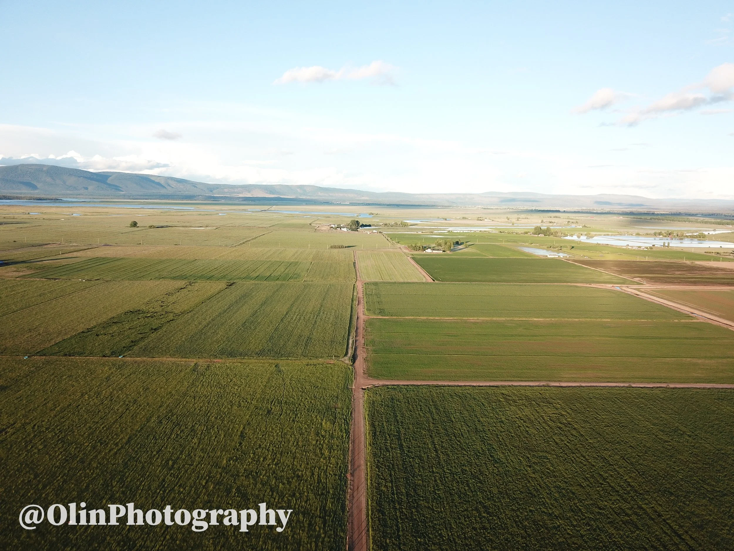 DJI_0005 (9).jpg