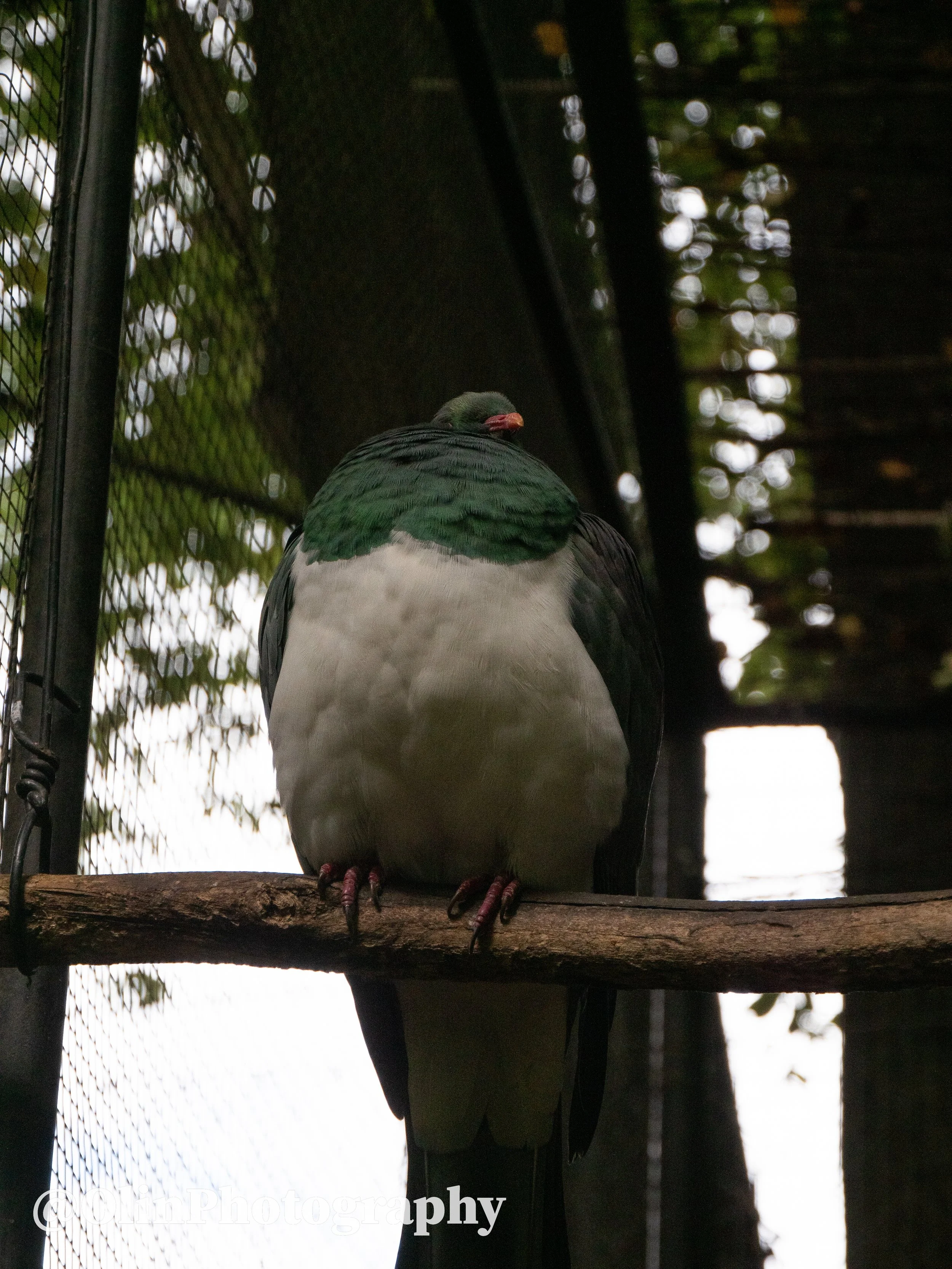 P1035740.jpg