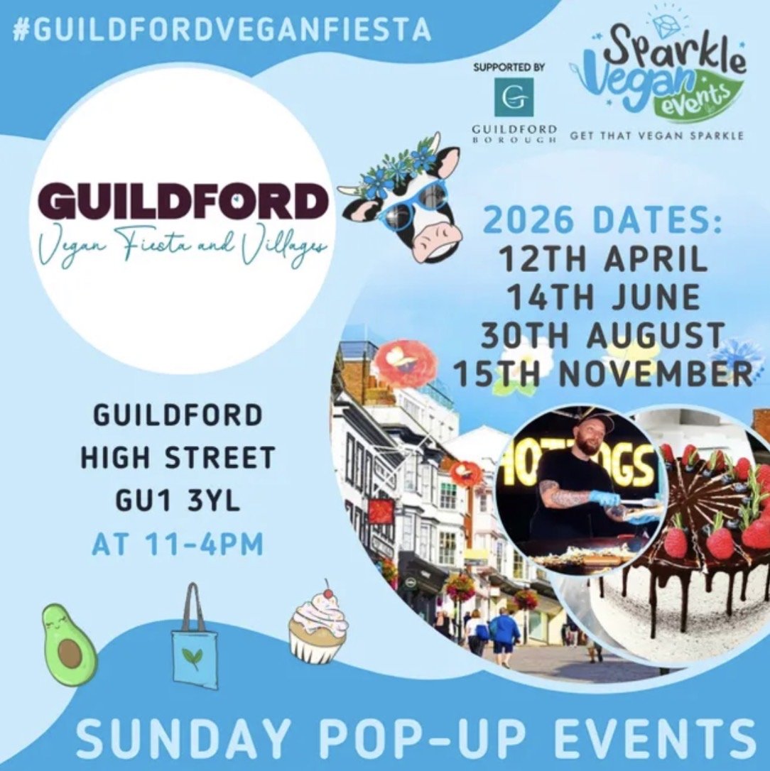 Guildford Village - part of Festive Family fun Day