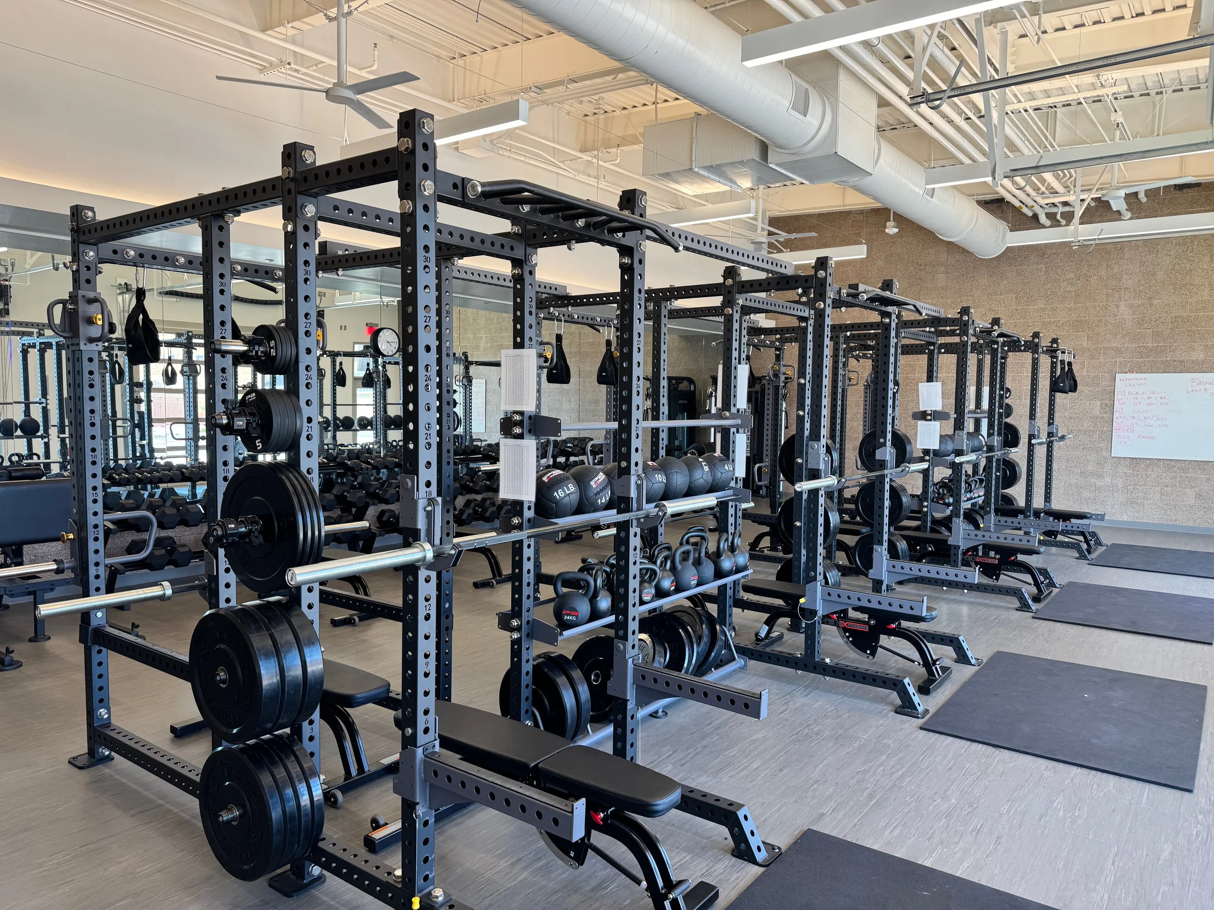 Modern gym interior with power racks and weightlifting equipment.