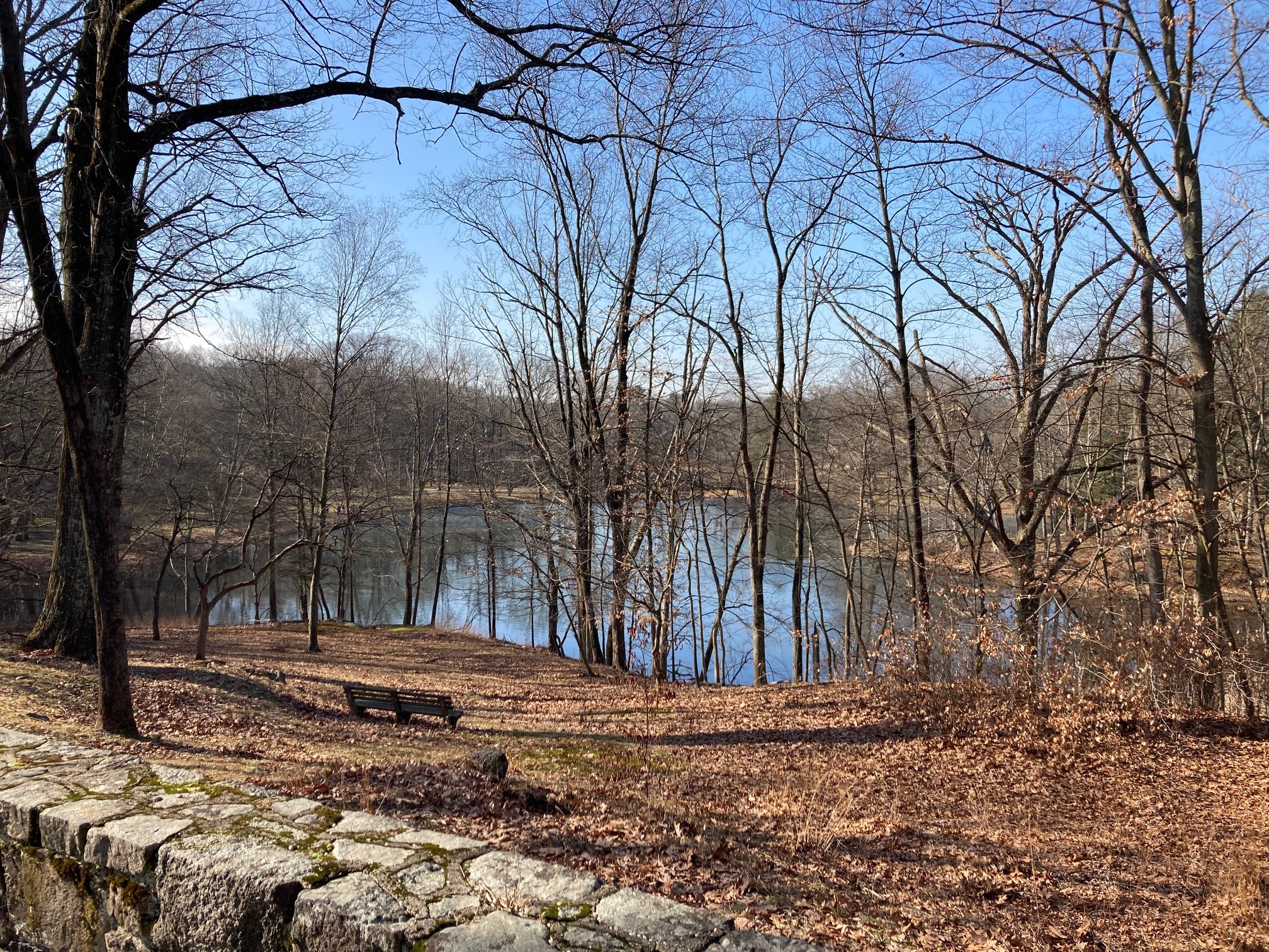 Blue Mountain Pond