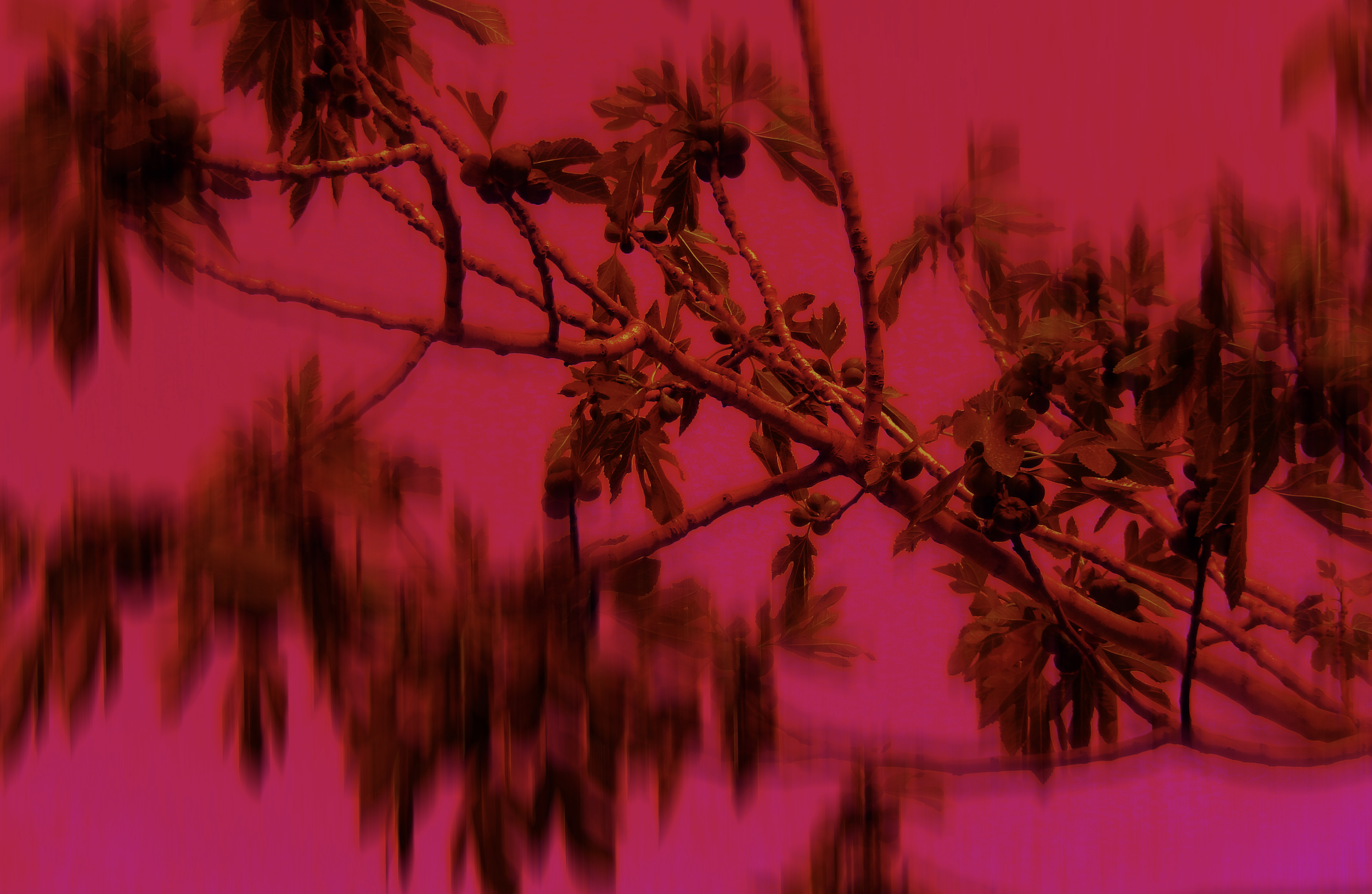 Screenshot 2024-04-10 at 7.14.37 PM.png