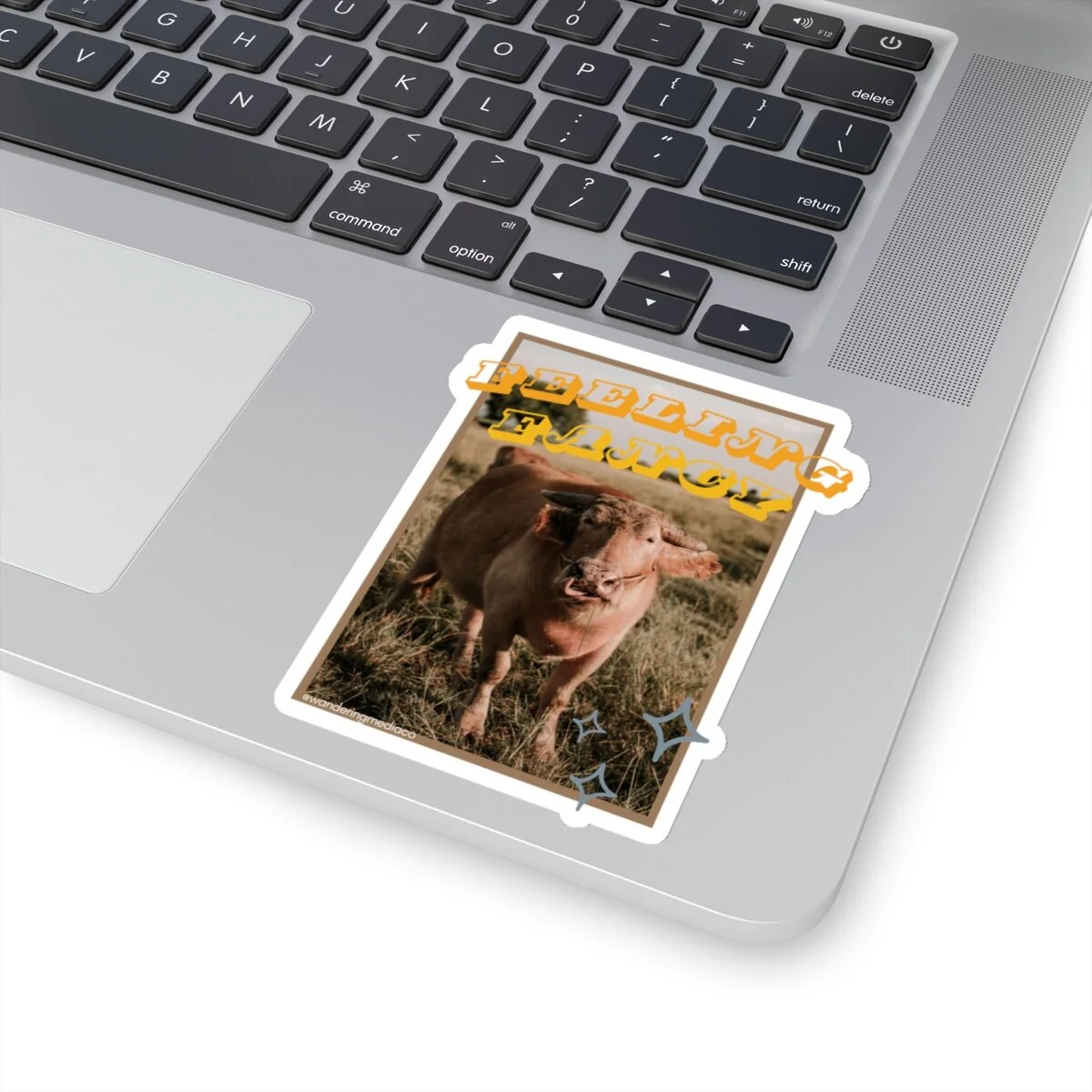 5cb60bac6cad16f60317e004e8d2536d