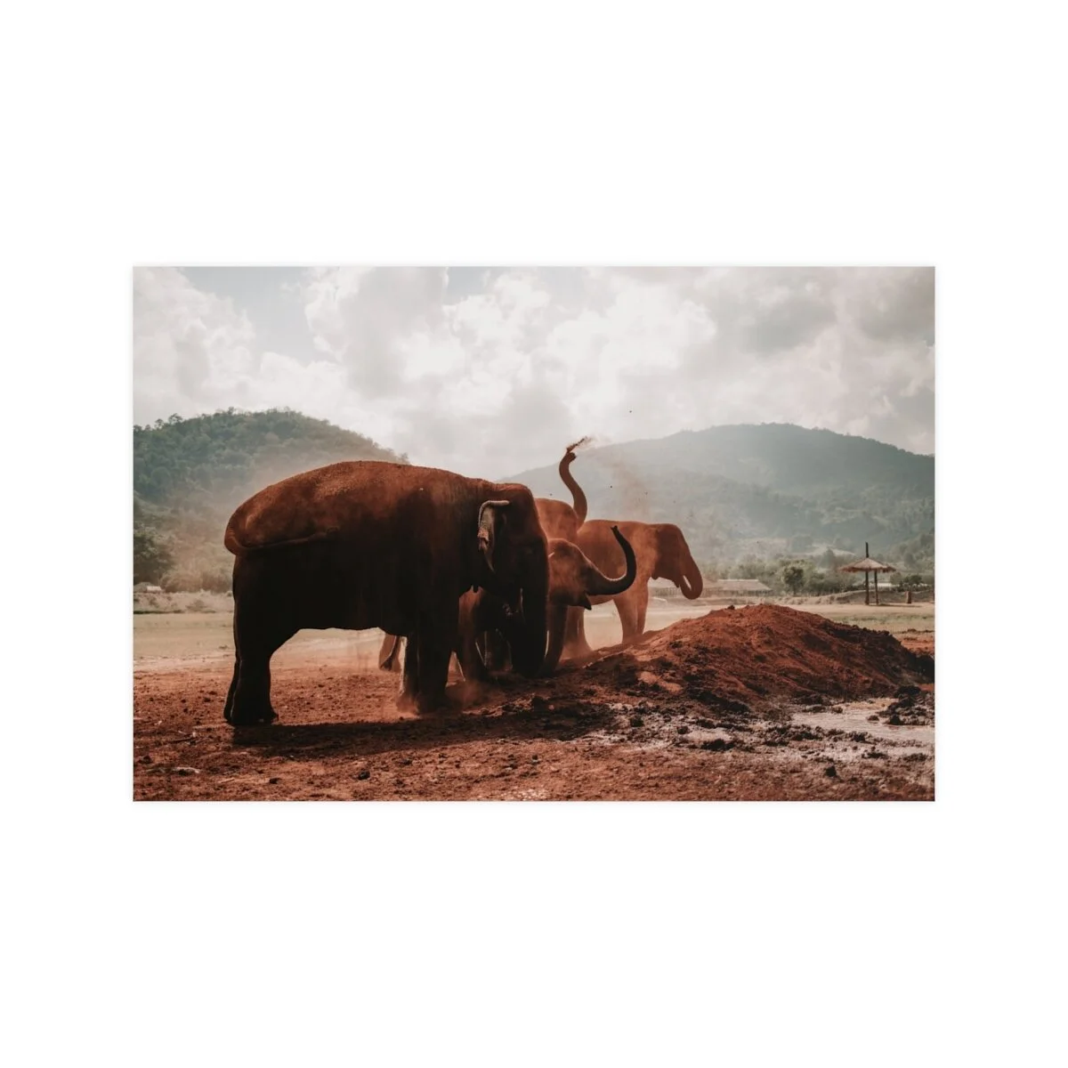 728bb6922e9ed6d31b0a8a8ed561a1a0