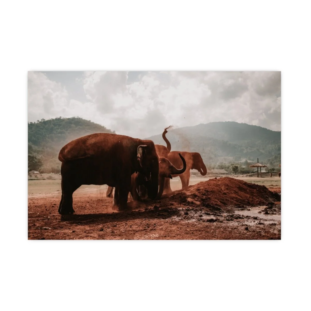 86b24b62486bd617672897769c2933d1