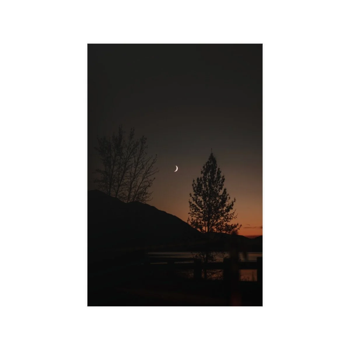 205abcea4bc32c741c8c8bdc7f0258a0