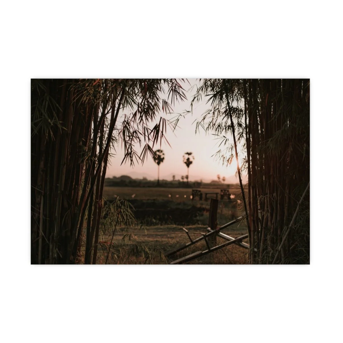 e157f7e089586e8281d117a083ce4fe7