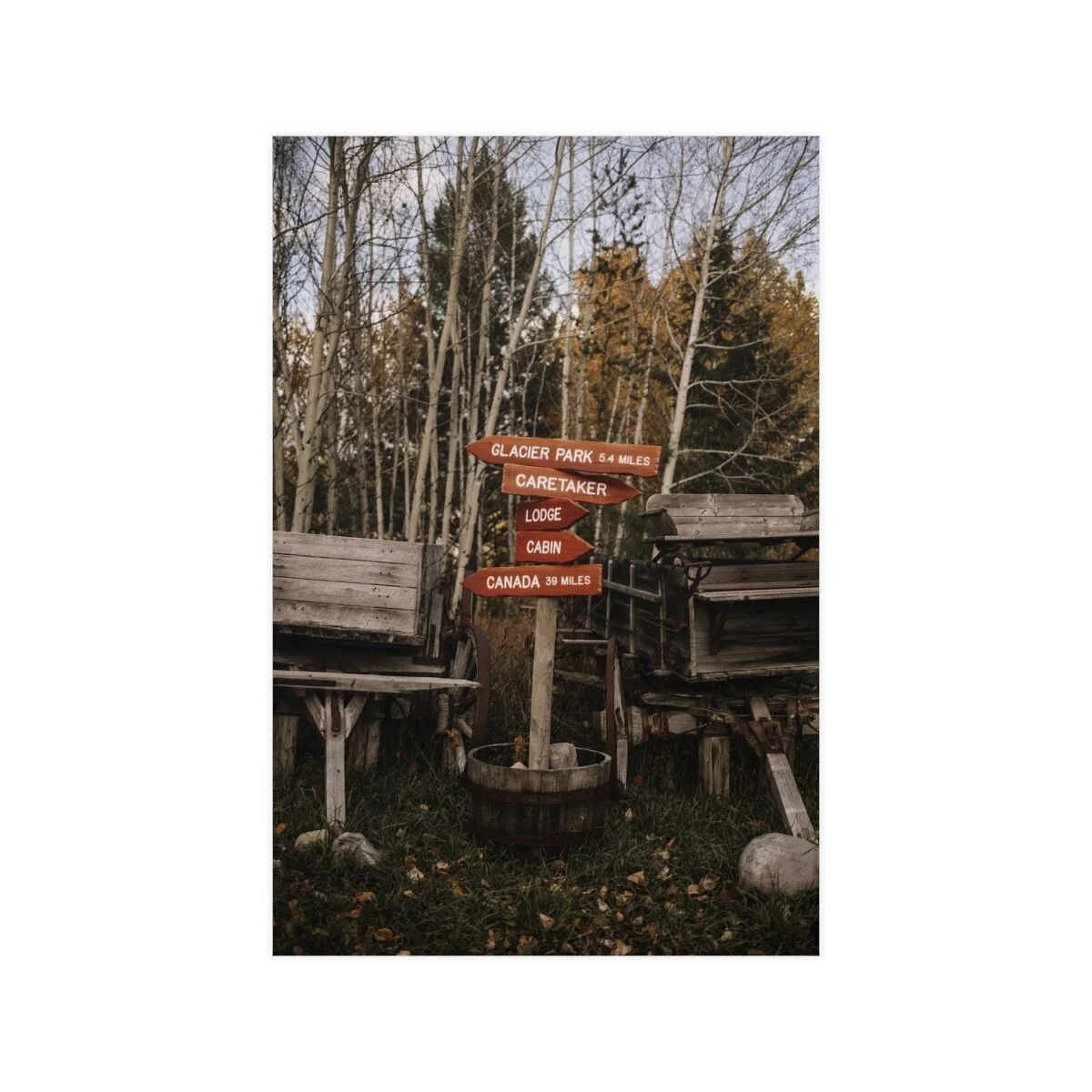 6aa8062b18fa6e0b10dd6de13a894721