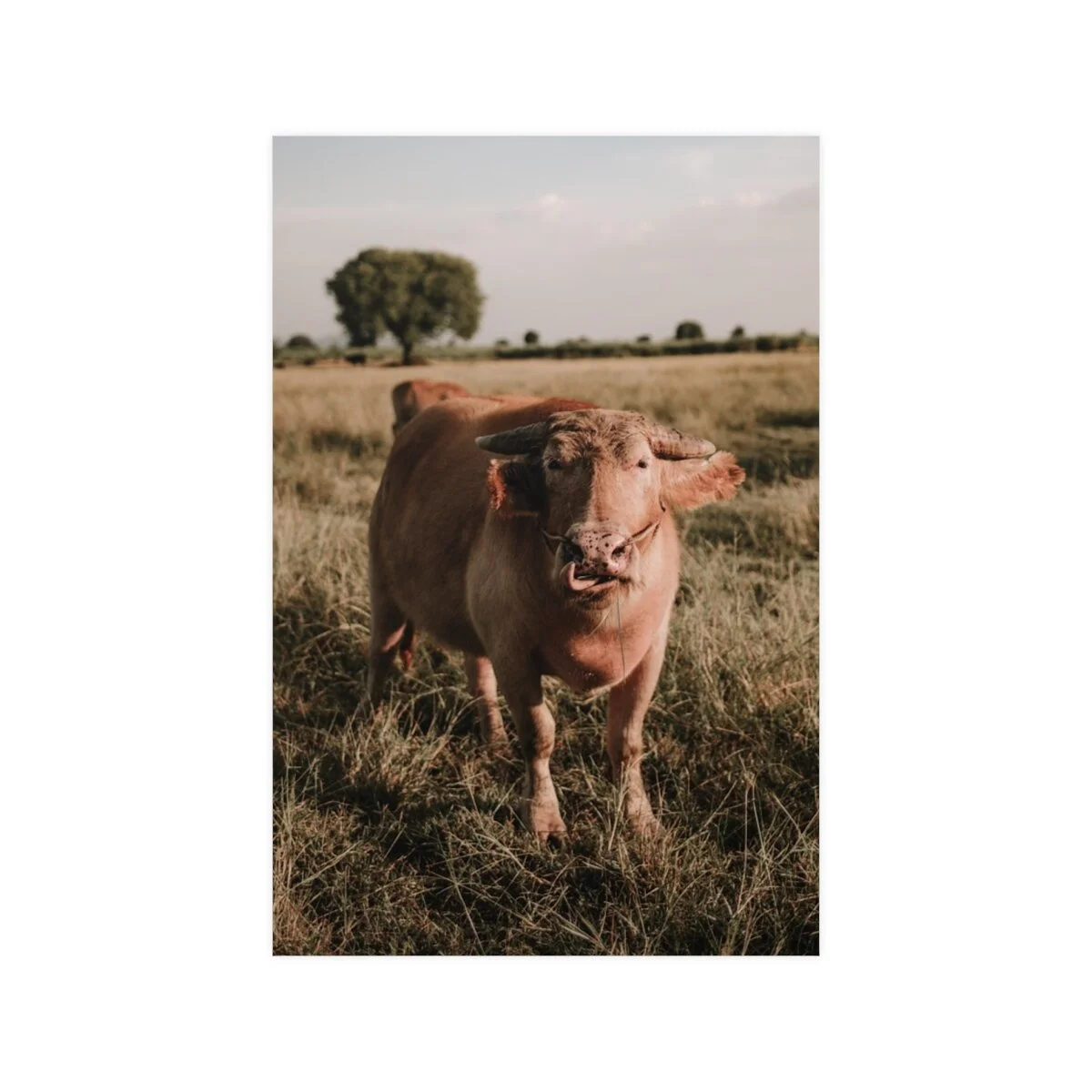 64b31b8d73d8d0dad439dda404873bda