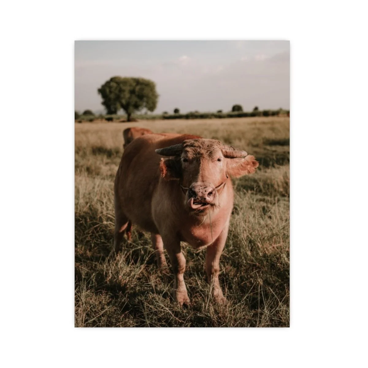 2f824372e5332be8d4a9715a42d8d426