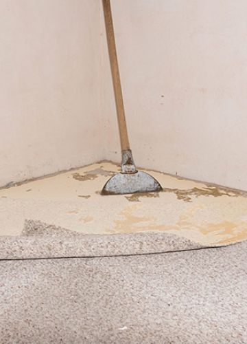Carpet Floor Removal