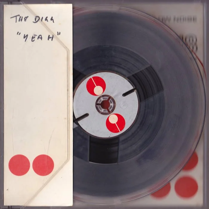 the digg - album single add.jpeg