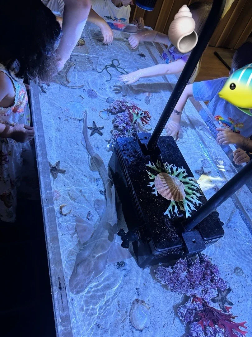 This past week we welcomed Traveling Tide Pools. Our students discovered their mobile tide pool experience, which was a fun and educational opportunity for them to interact with real sea animals.
