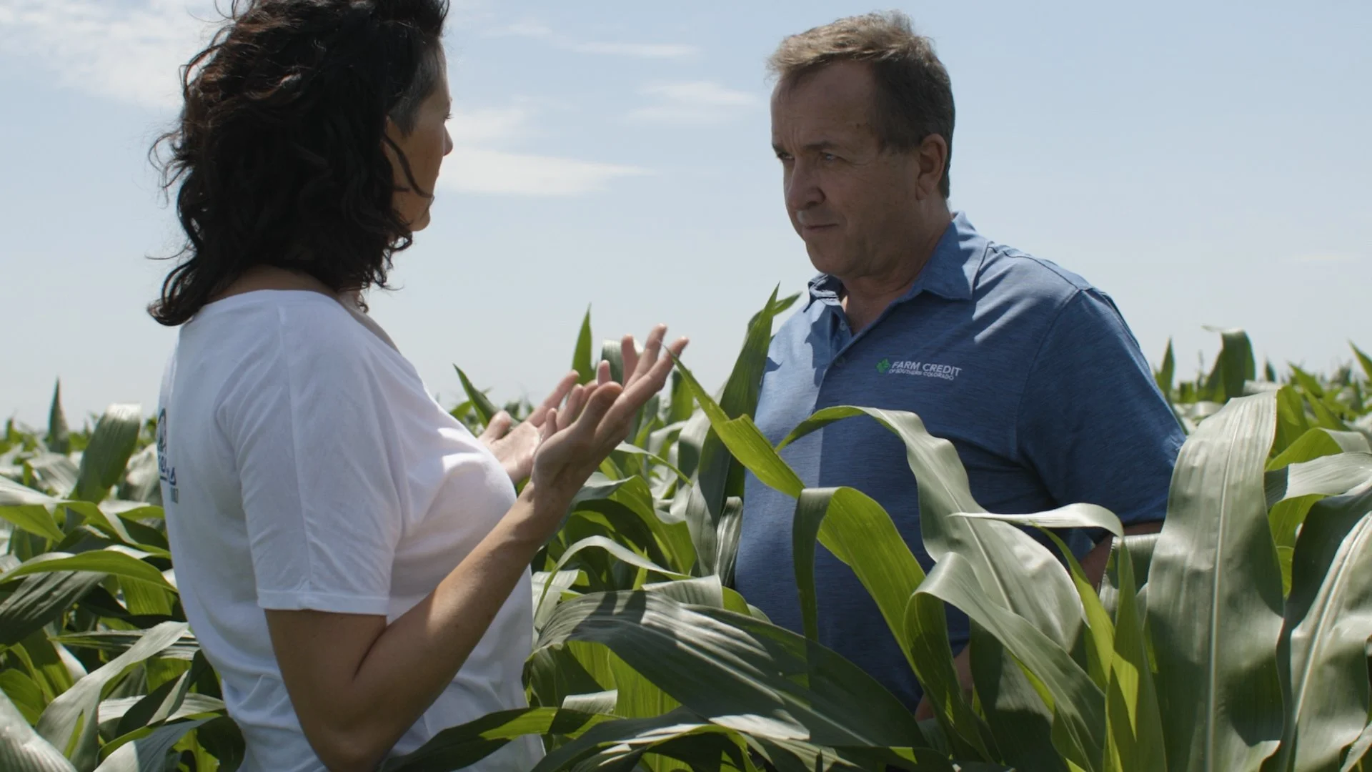A woman and a man standing in a cornfield, having a conversation. The woman is gesturing with her hands, and the man is listening attentively.
