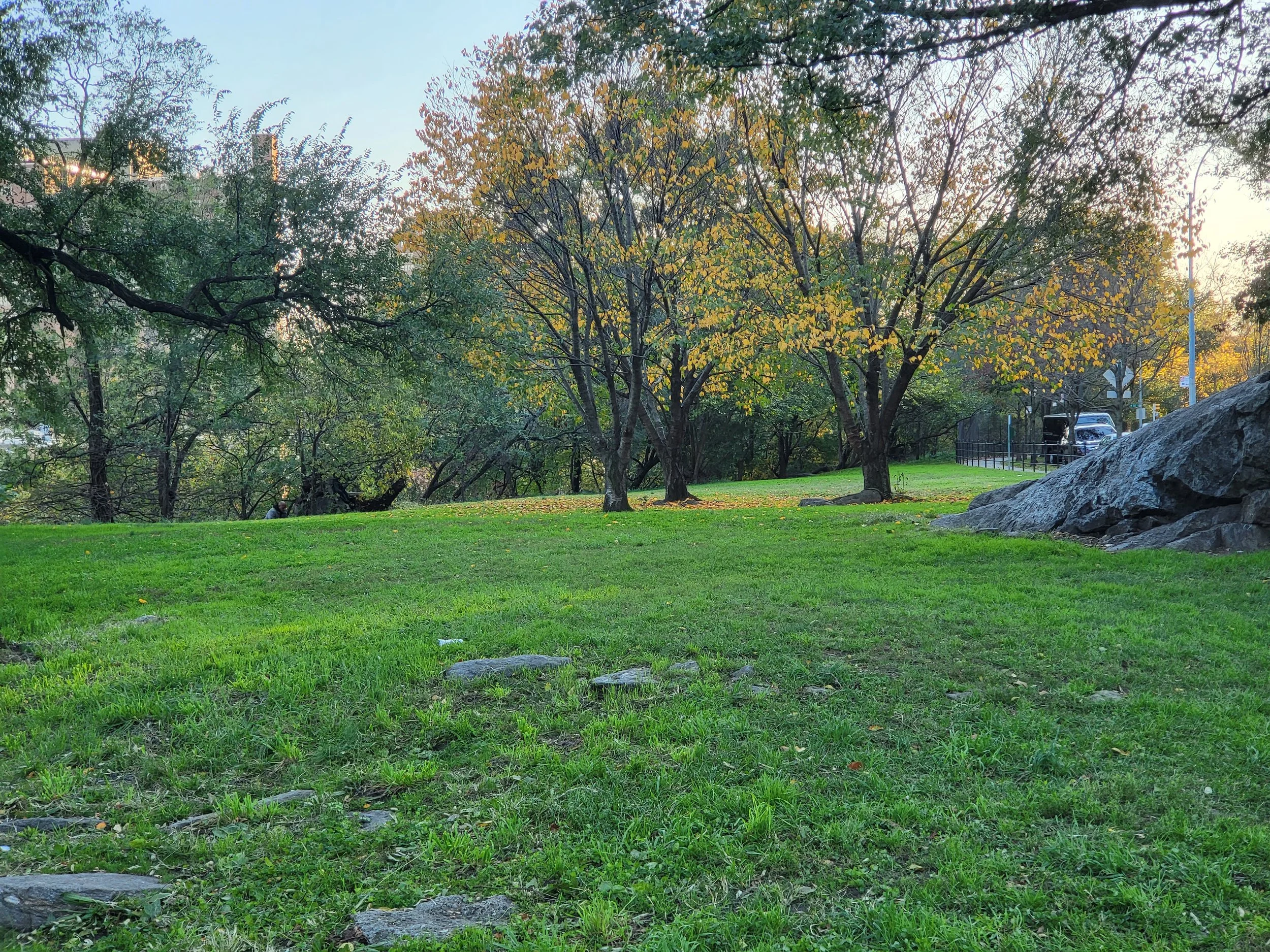 The site of the future Larry Neal Dog Run.