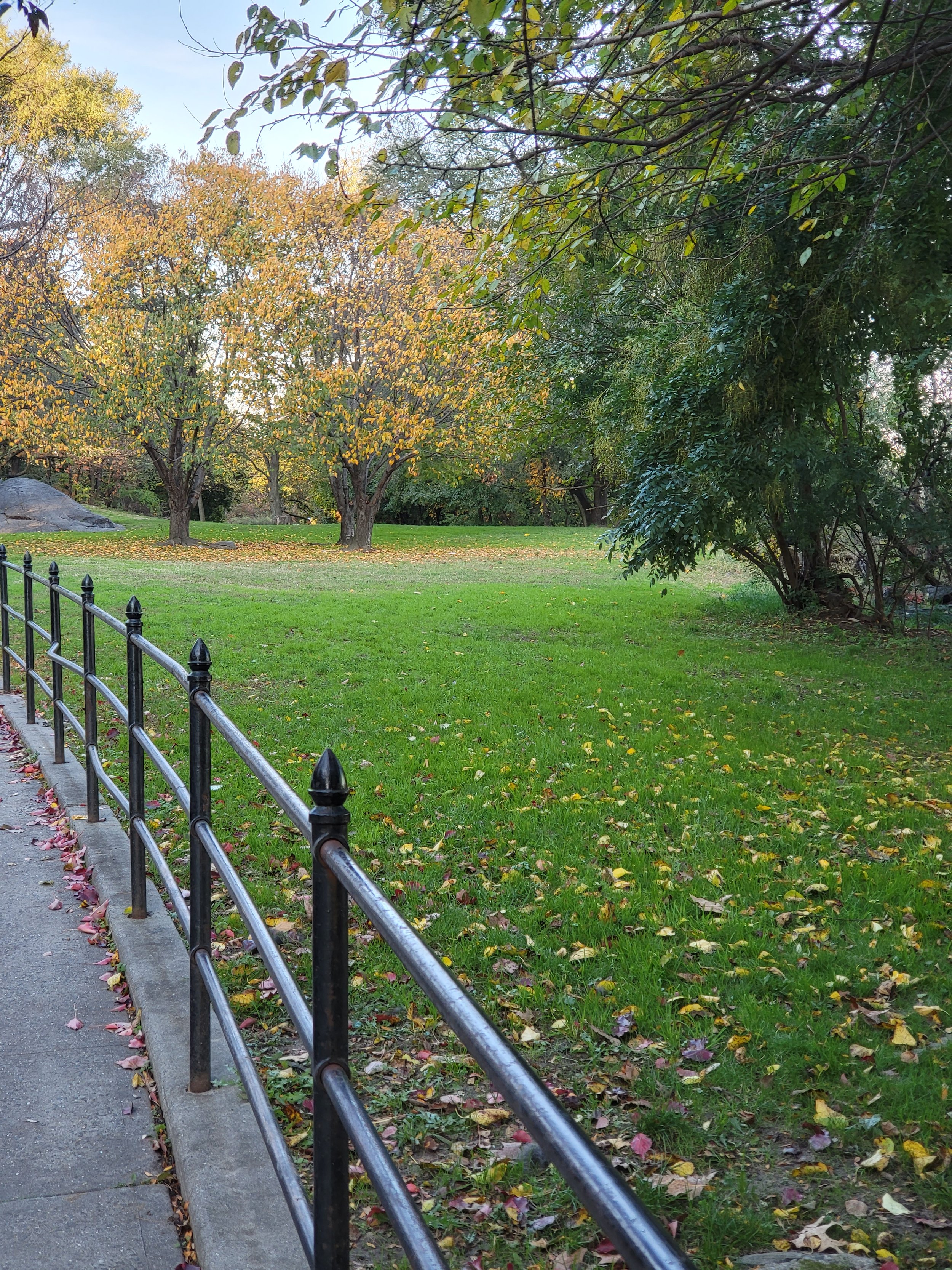 The site of the future Larry Neal Dog Run