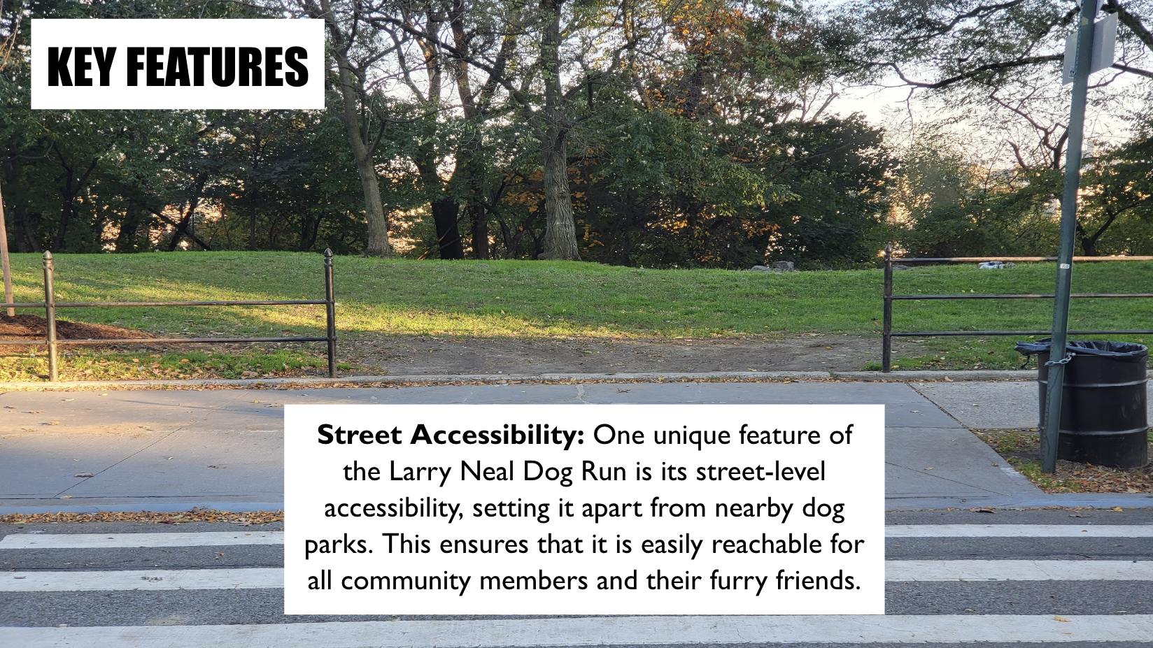 Screen Shot 2024-03-19 at 1.54.29 PM.png