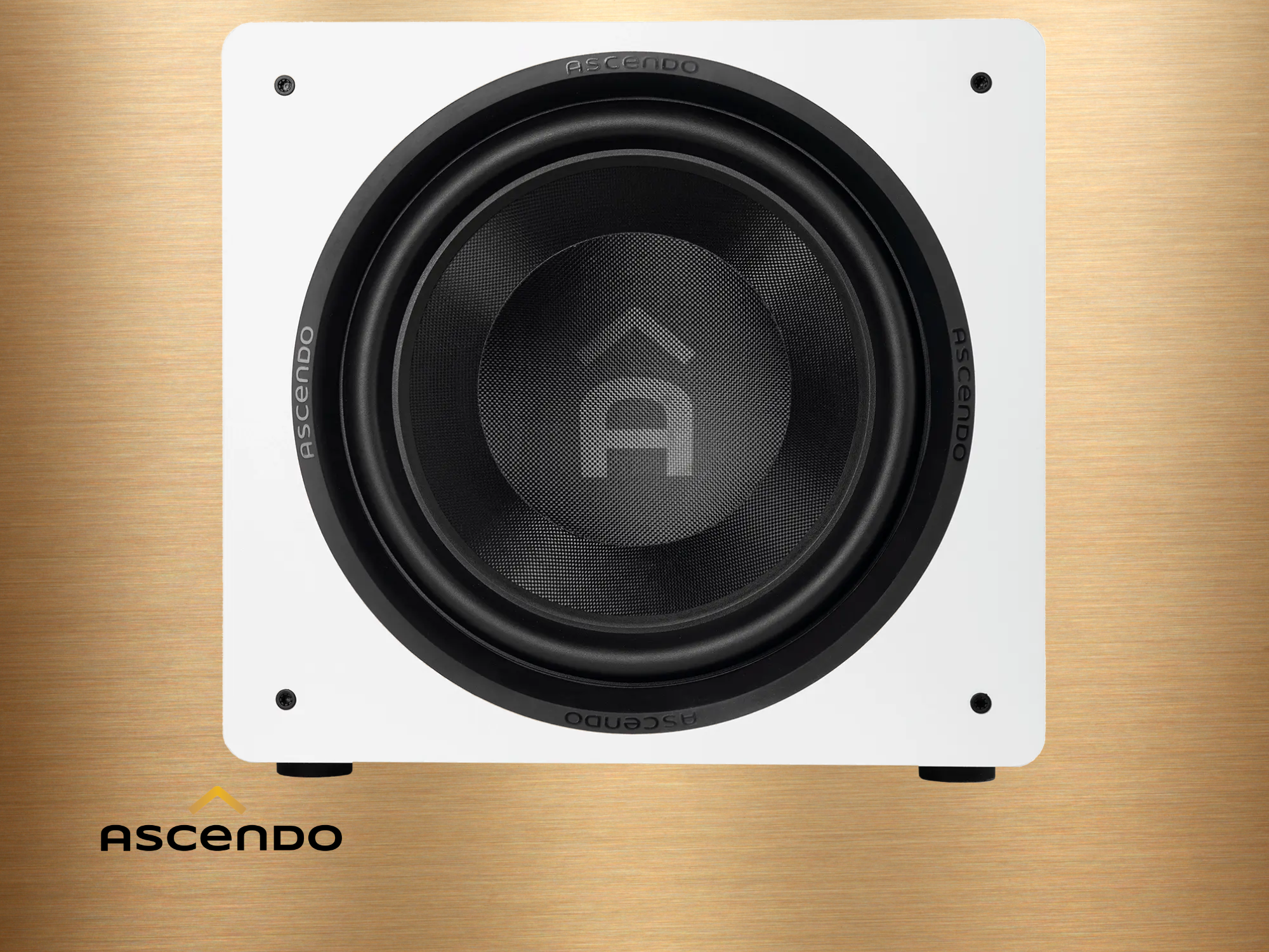 ASCENDO The16 SUB Bild 1.png