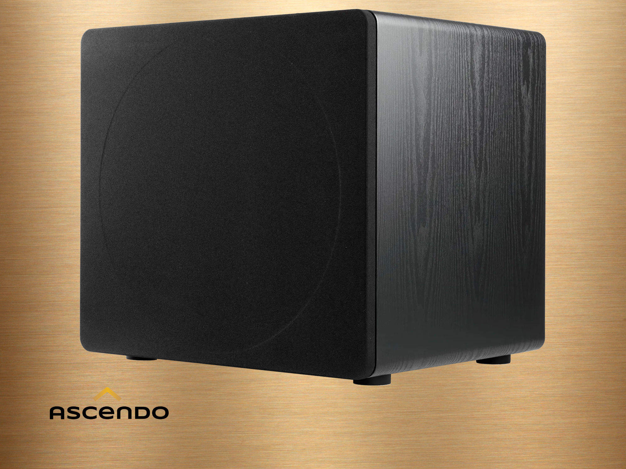 ASCENDO The16 SUB Bild 4.png