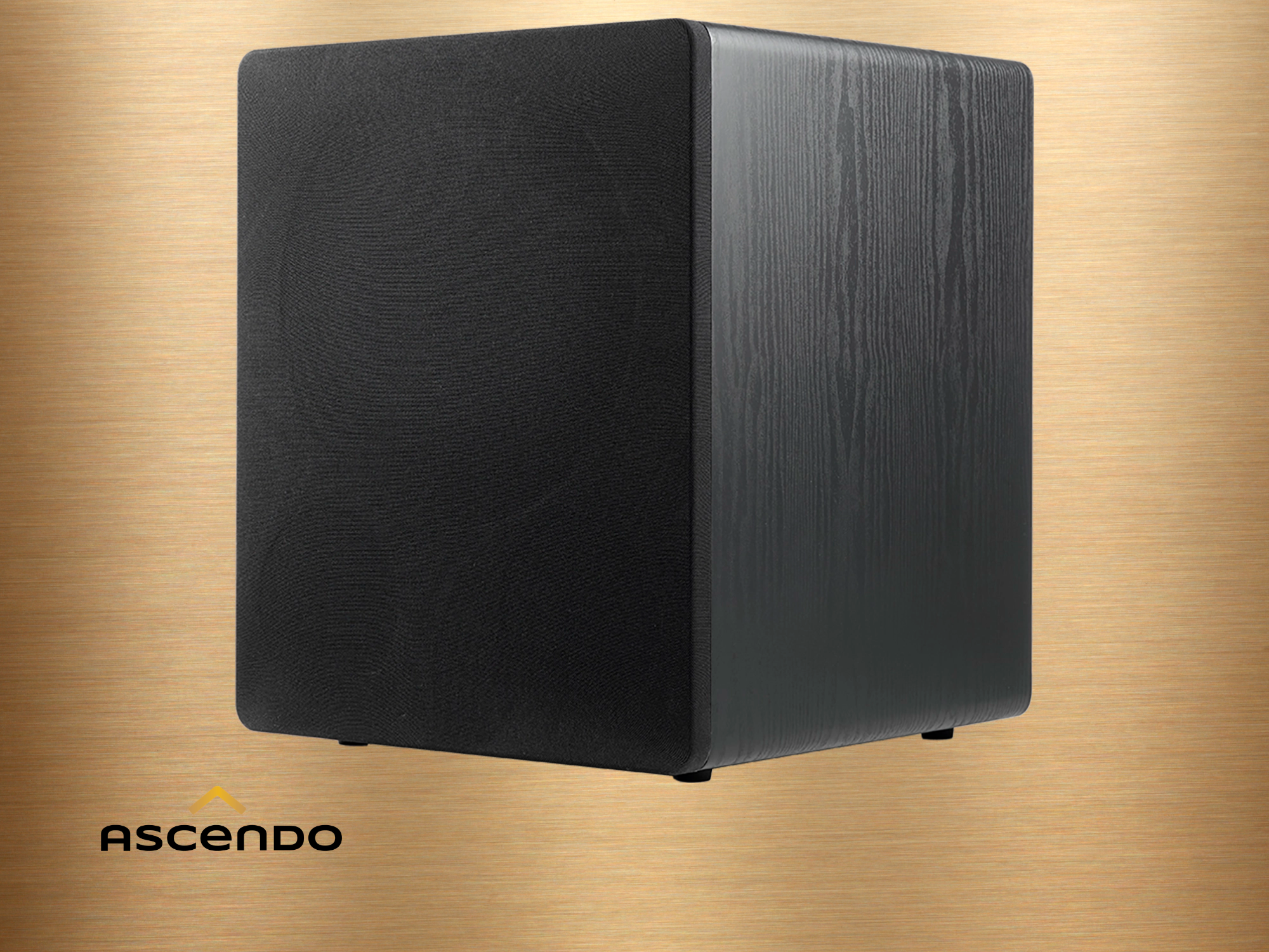 ASCENDO MKII Bild 3.png