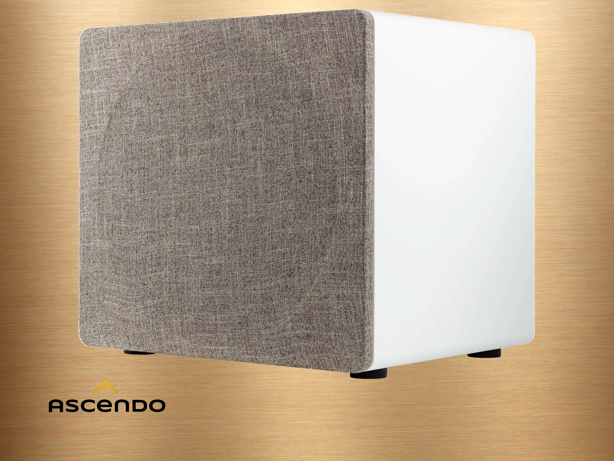 ASCENDO The16 SUB Bild 3.png