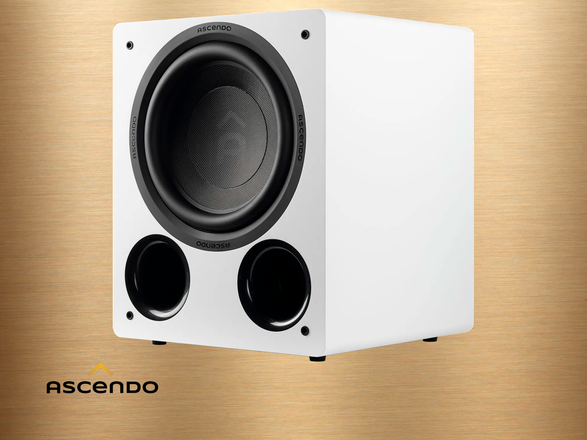 ASCENDO MKII Bild 5 weiß.png
