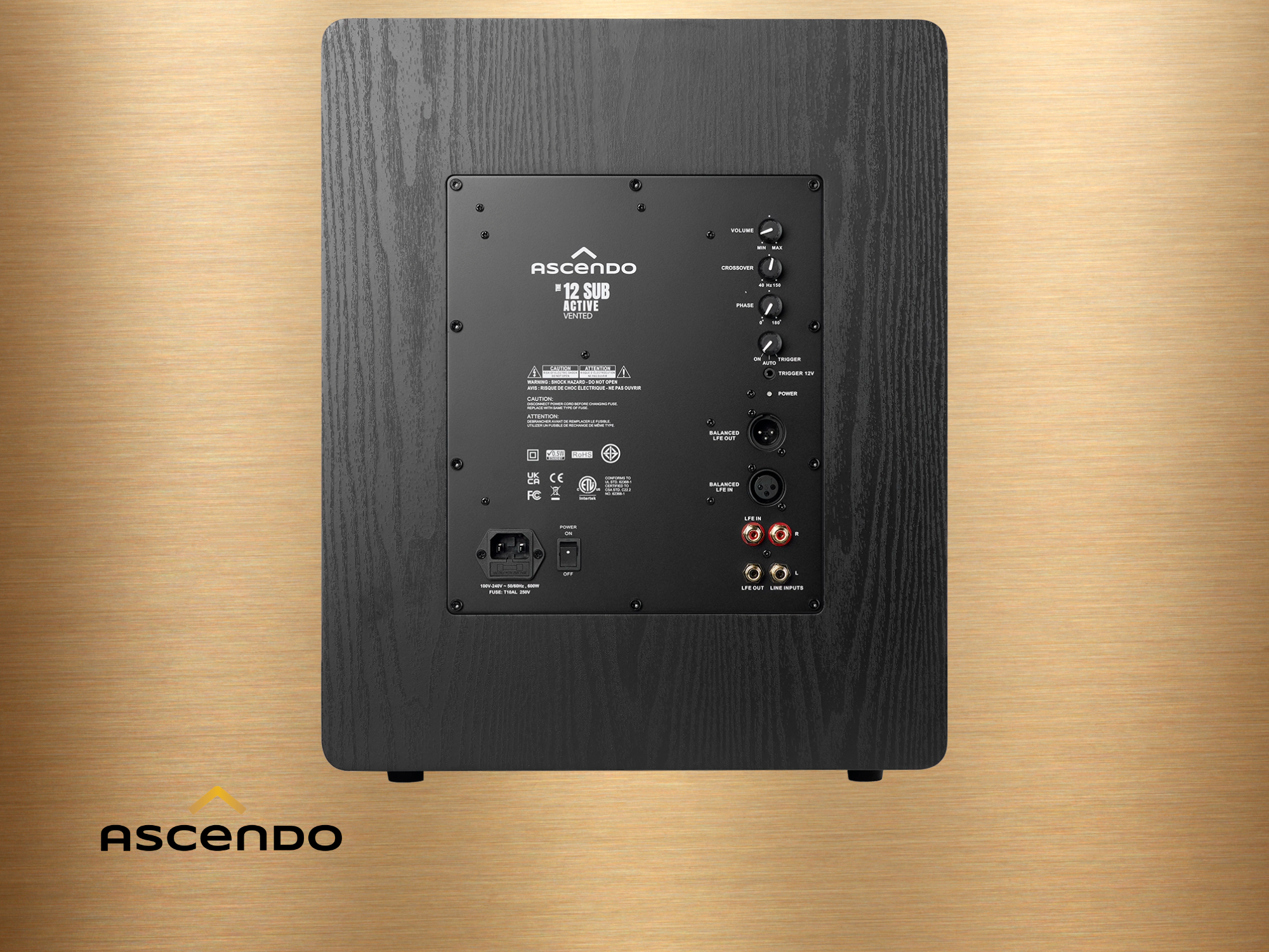 ASCENDO MKII Bild 2.png