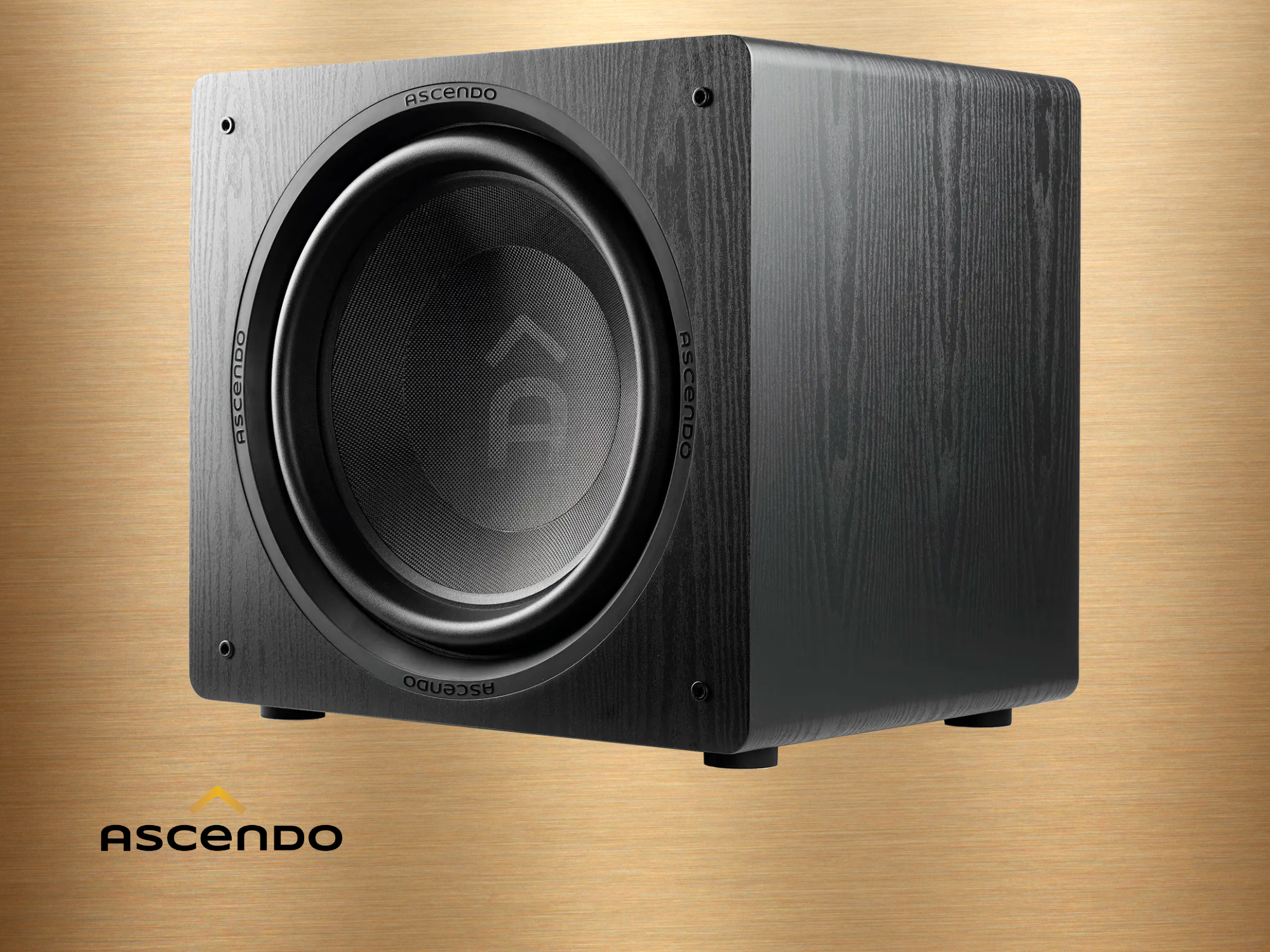 ASCENDO The16 SUB Bild 2.png