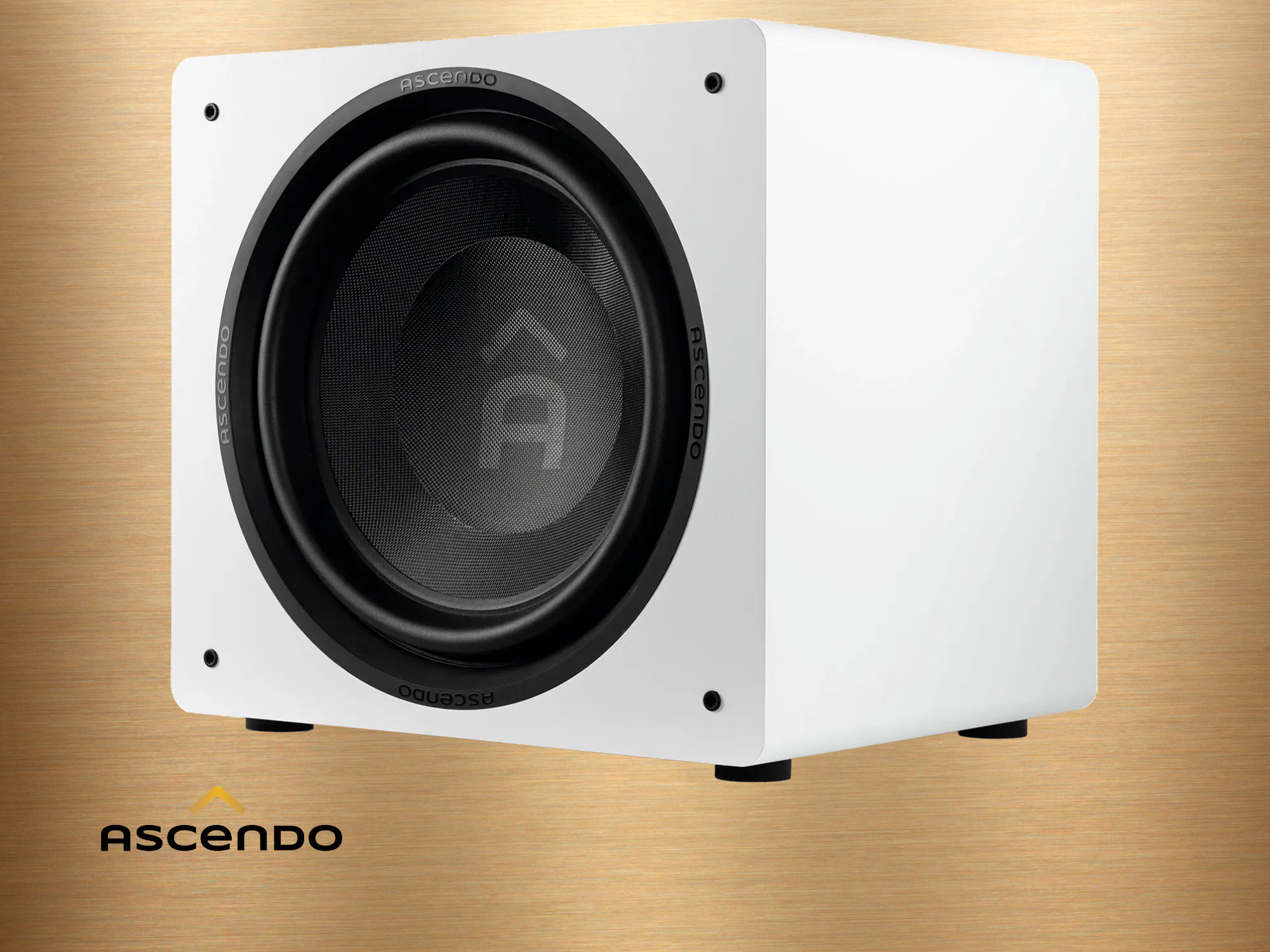 ASCENDO The16 SUB Bild 2.png