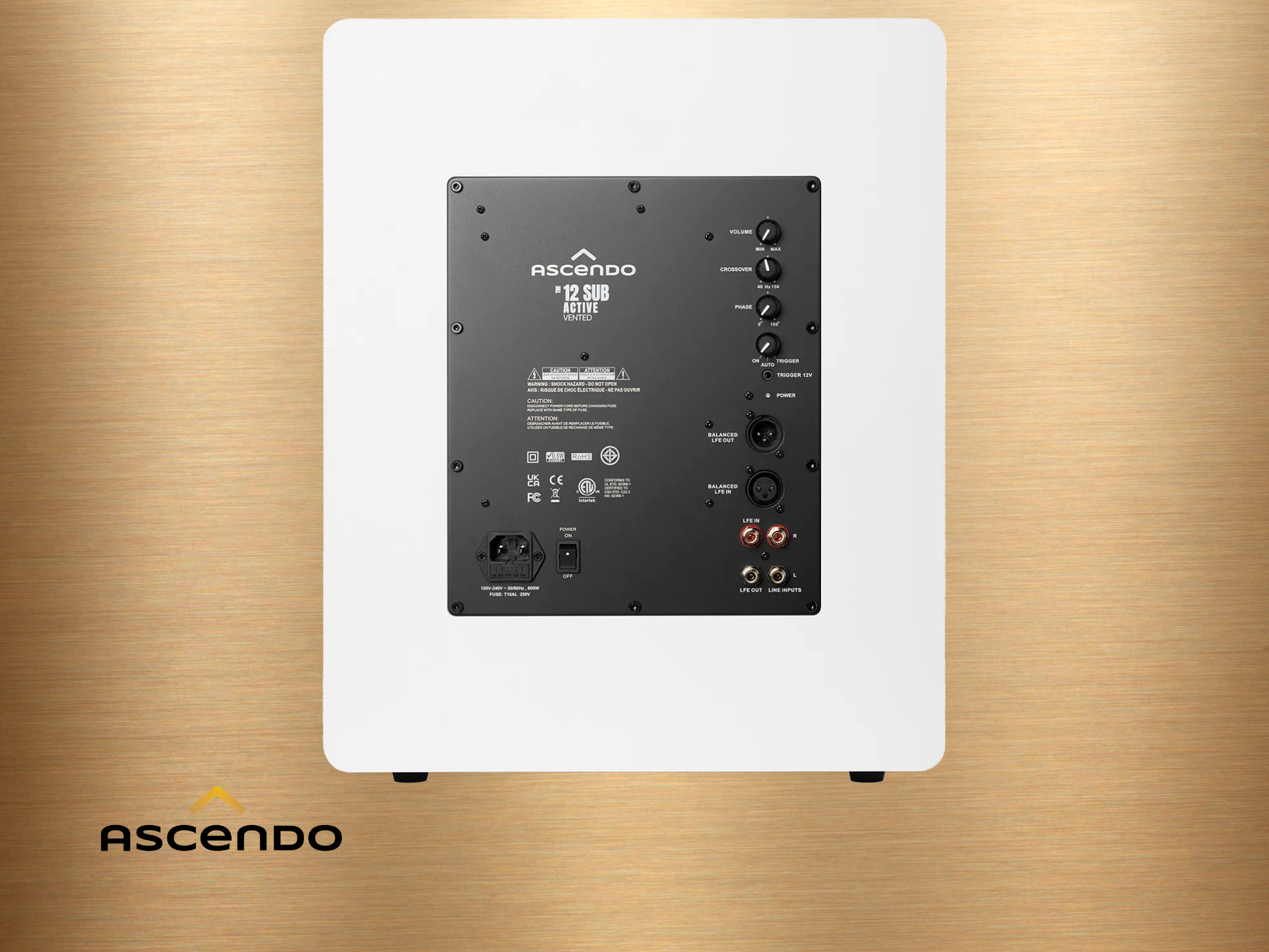 ASCENDO MKII Bild 2 weiß.png