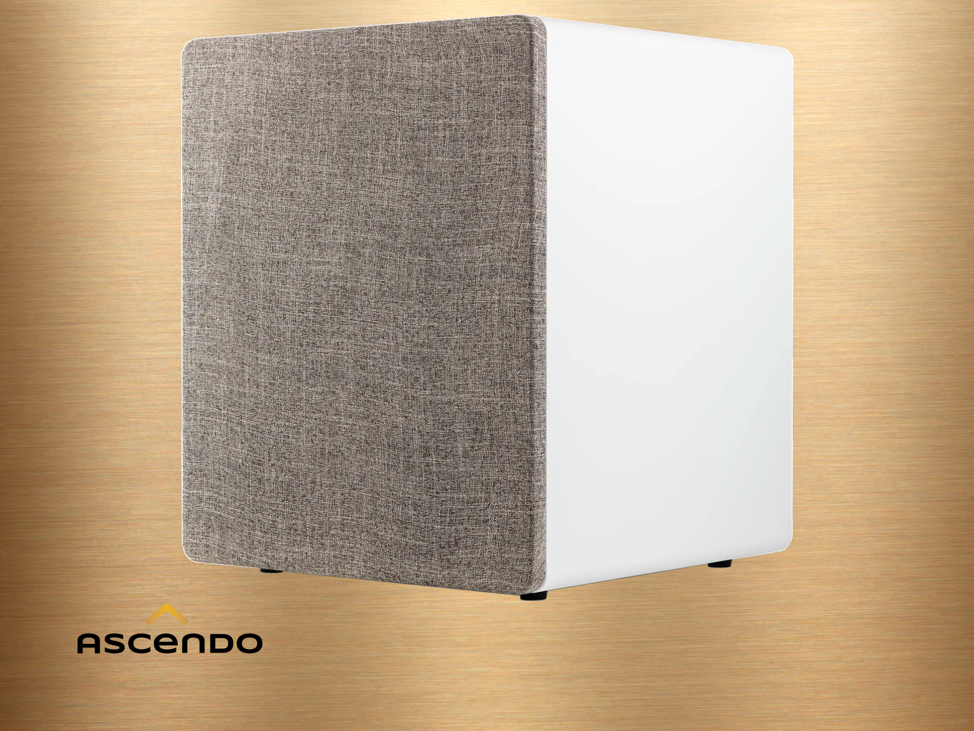 ASCENDO MKII Bild 3 weiß.png