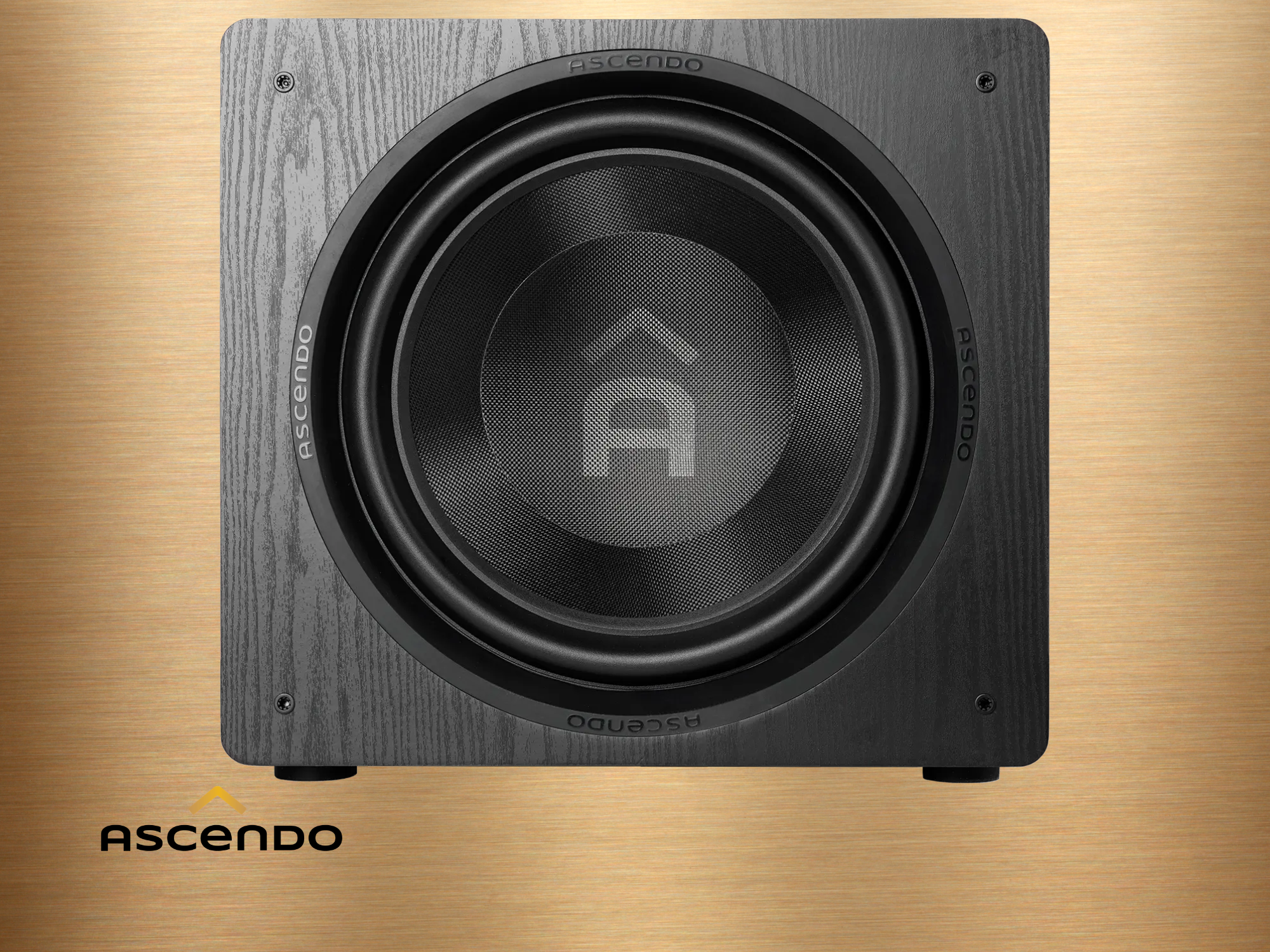 ASCENDO The16 SUB Bild 1.png