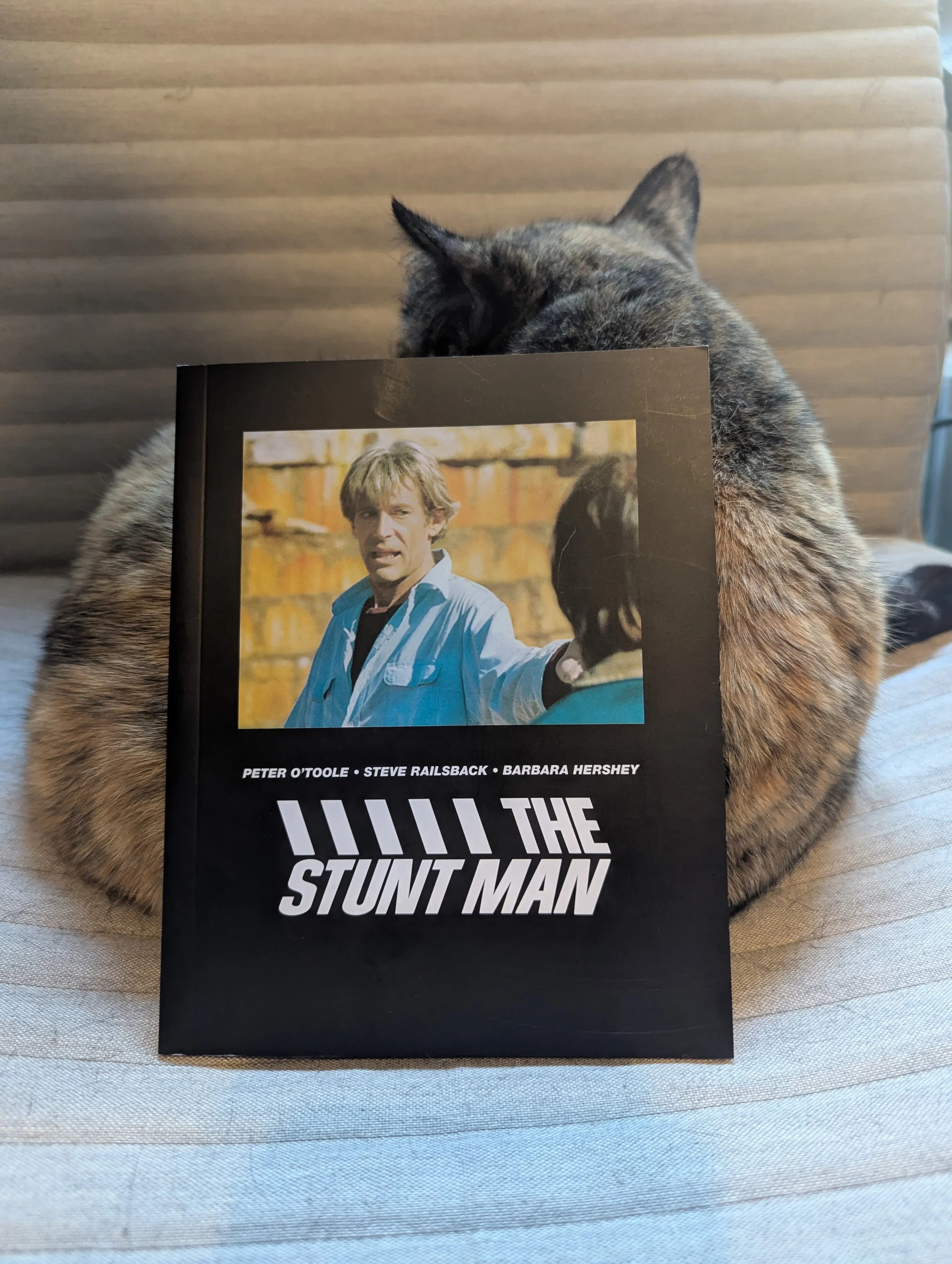 Transmission’s “The Stunt Man” booklet review