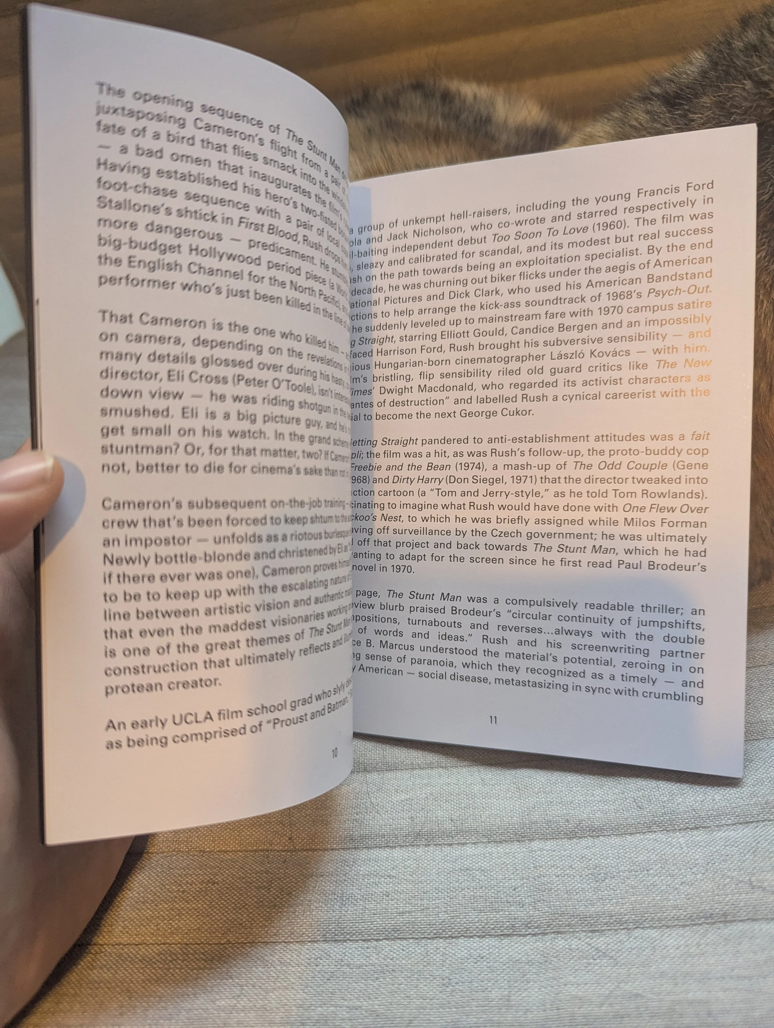 The booklet is opened to two pages, only partial text being visible on each page. There are three paragraphs on each page, all written in a clean black font over a white background. There is a tan cloth cushion and a brown cat behind the booklet.