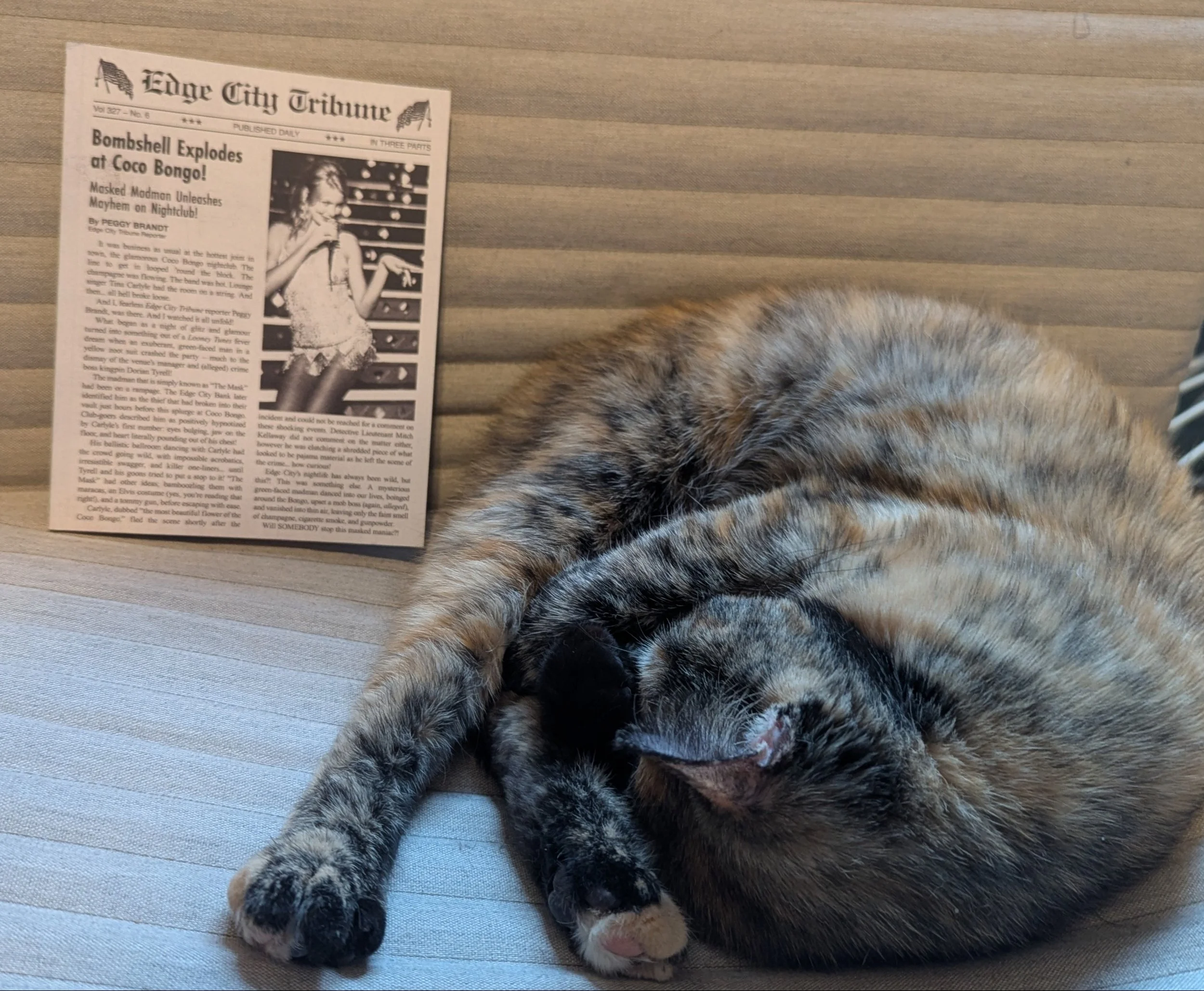 The booklet described above stands upright against back of a beige chair. A brown and black cat is curled up asleep with one leg poking out on the seat of the chair. Cameron Diaz in the booklet's photo appears to be pointing at the cat.