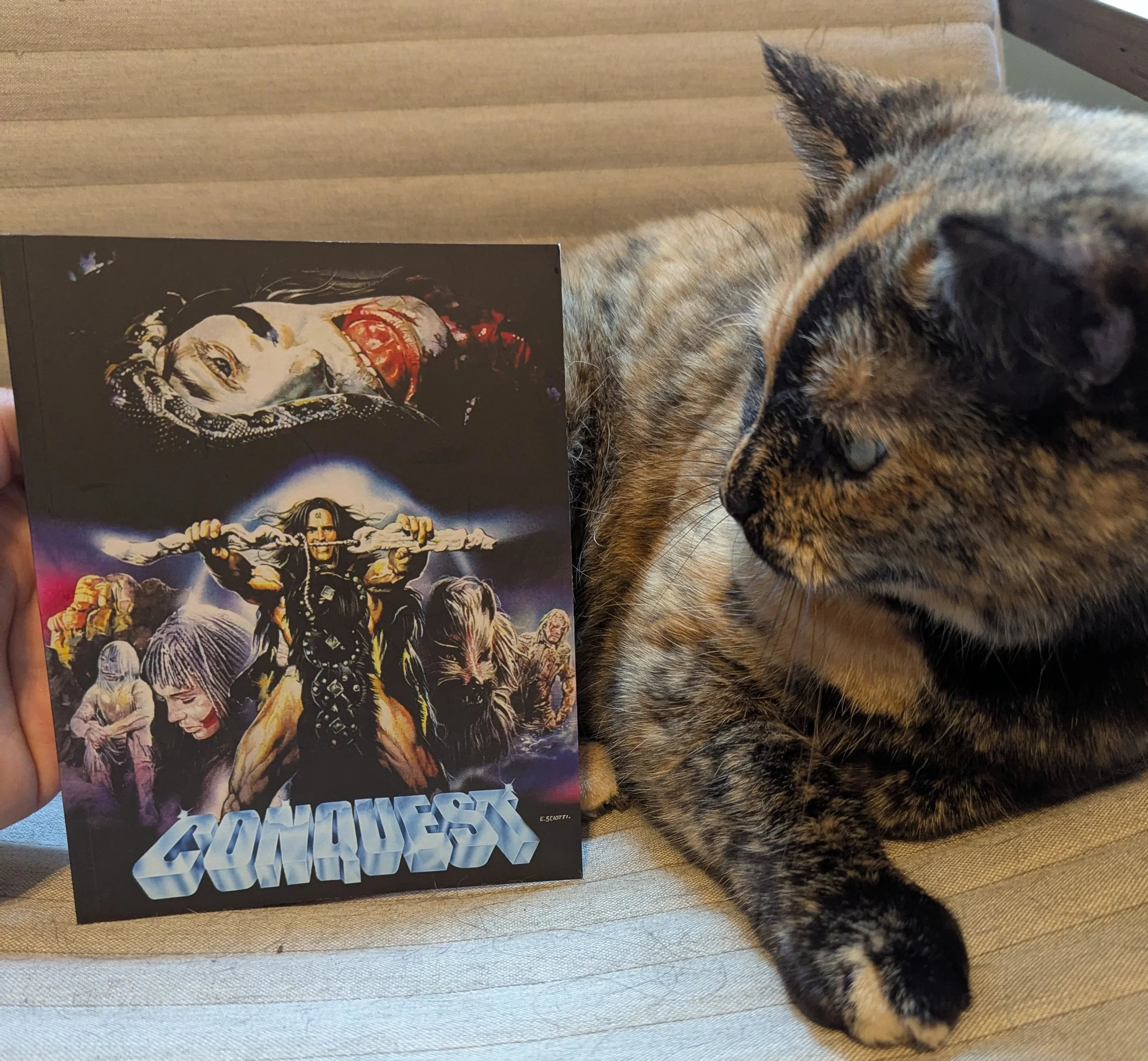 Booklet stands with cover showing, and brown and black cat beside it looking at the cover. Cover has film title at bottom, animated collage of film's characters in middle, and a headshot of a person lying with a snake on their head.