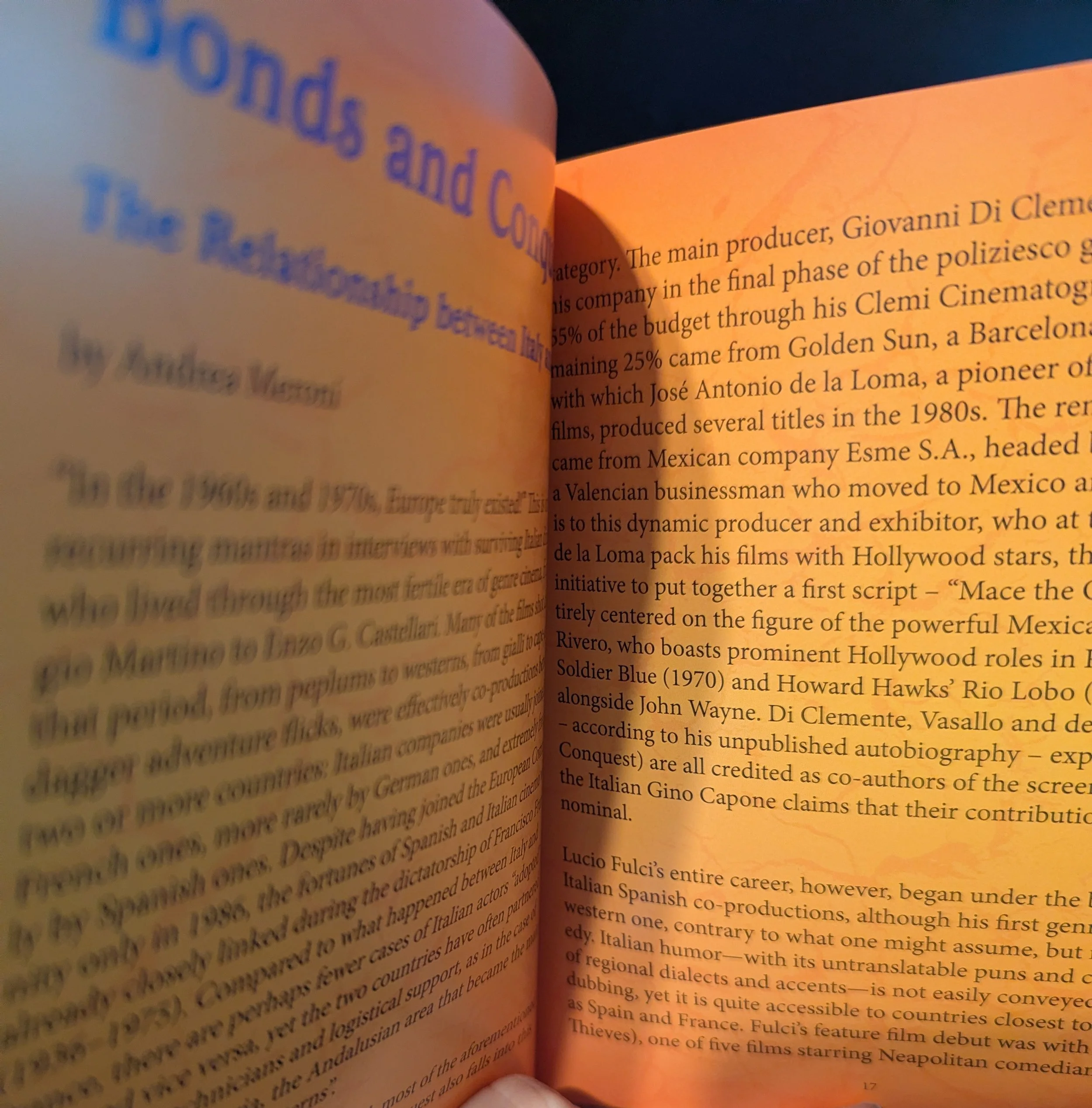 Two pages of the booklet opened. The pages are printed in orange. There are paragraphs in black text, along with the title of the essay on the top of the left page in blue text. The left text is blurry, and no full sentences are visible.