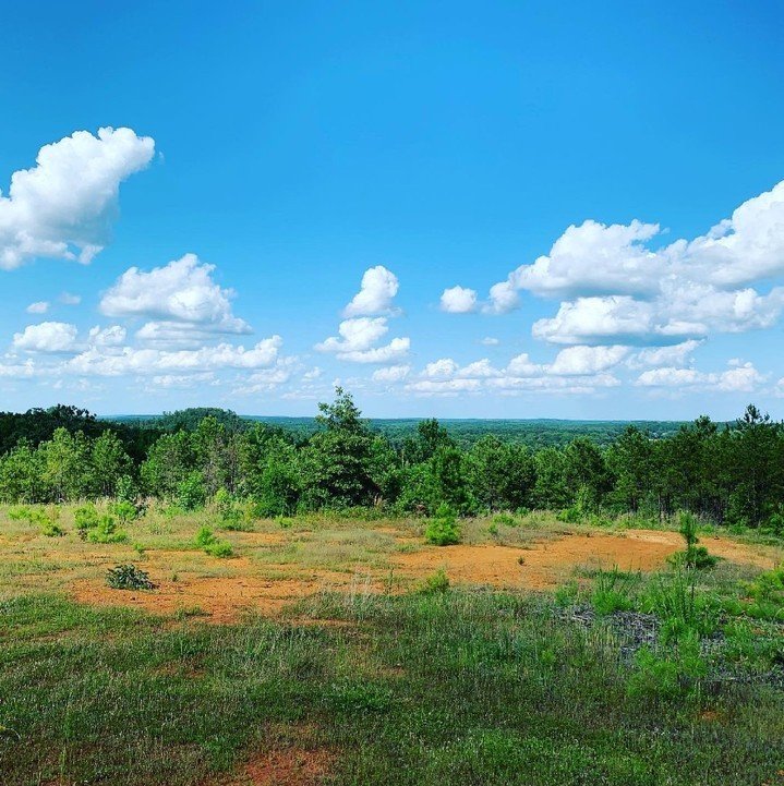 The view from Barnwell Mountain RV and Cabins &gt;&gt;&gt; 🤩

Not only do we have great views, but we are also located right across the street from @barnwellmountain and just 5 minutes from the heart of Gilmer, Texas. Learn more about all we have to